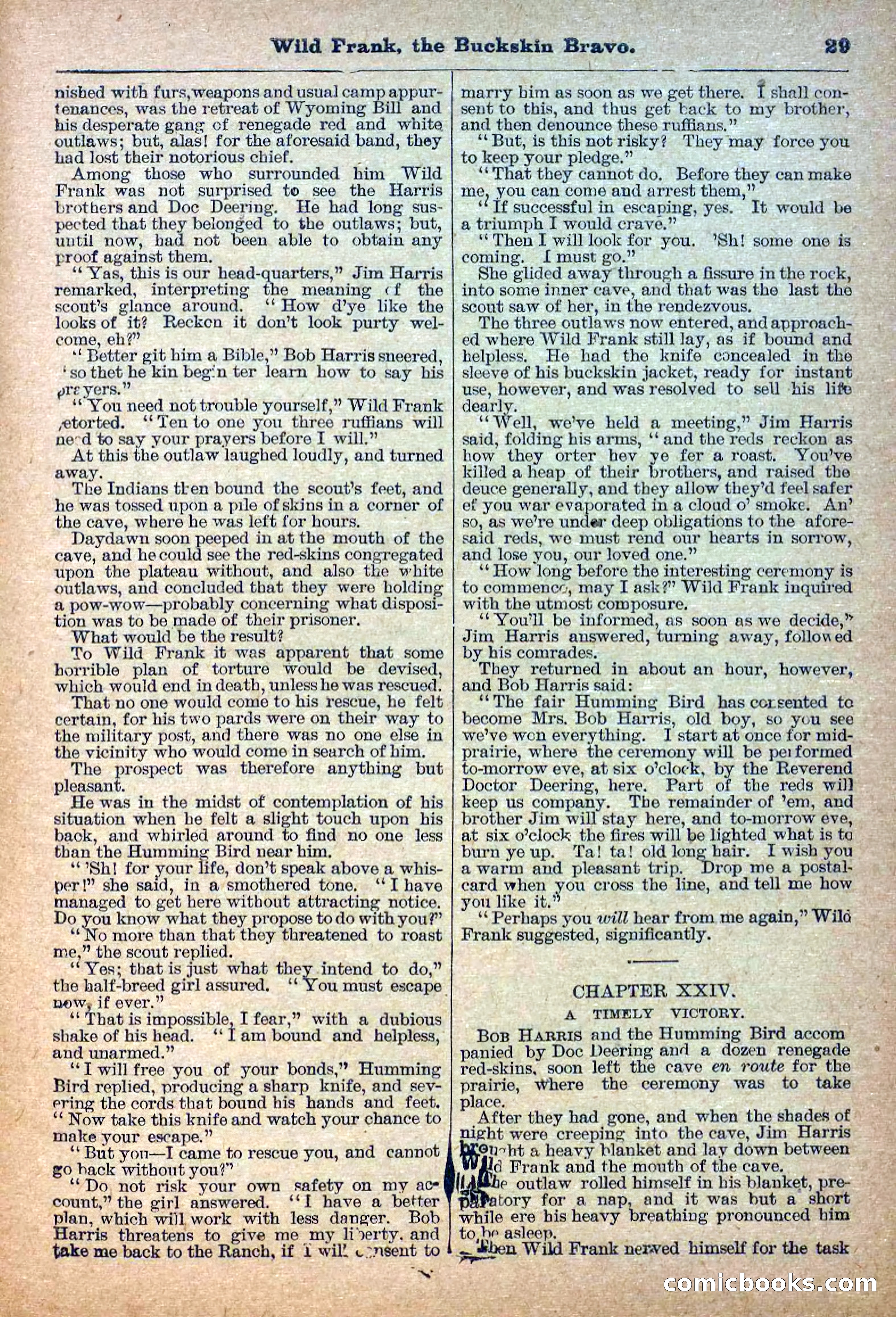 The Deadwood Dick Library, Vol. III, No. 38 — page 31 of 42