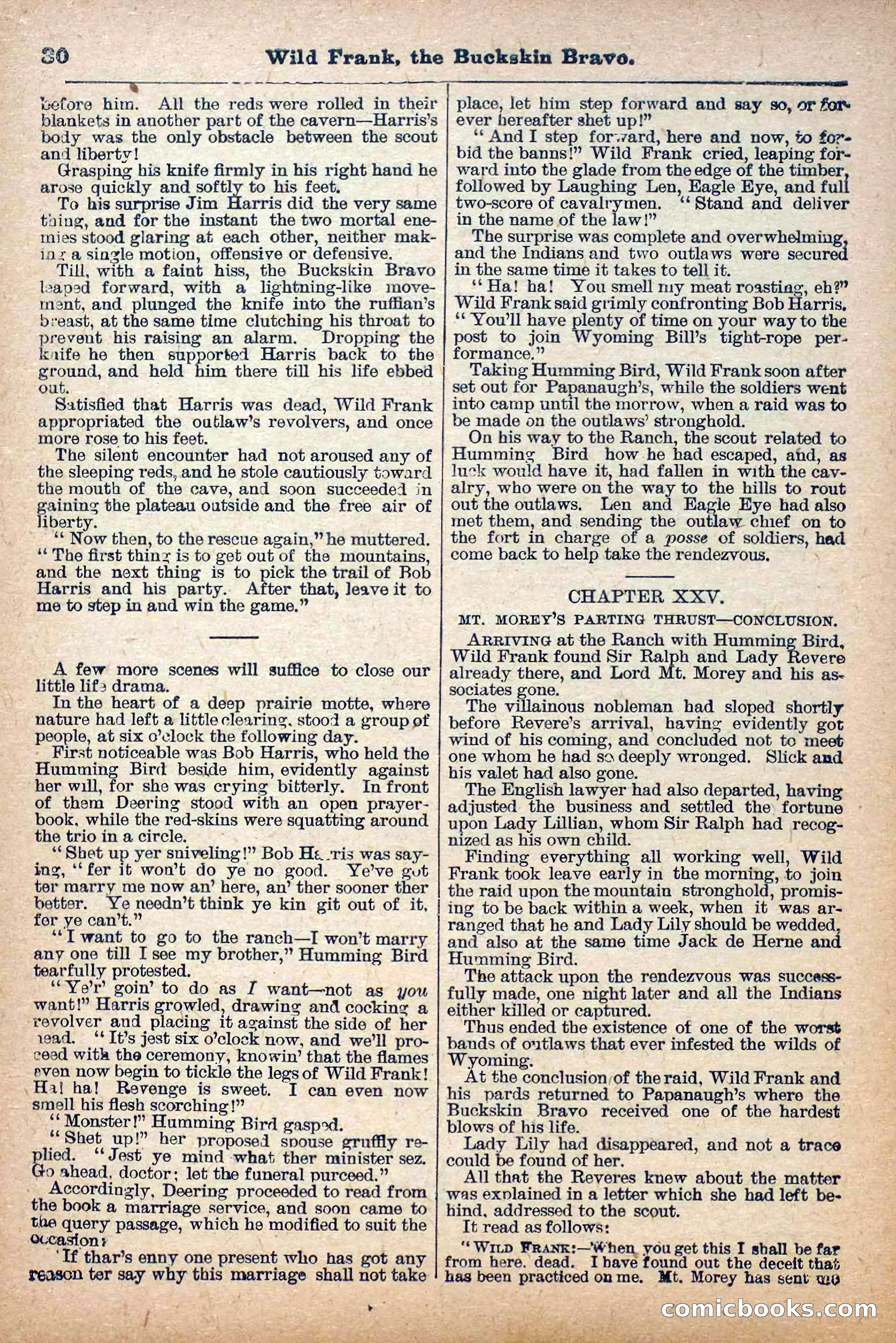 The Deadwood Dick Library, Vol. III, No. 38 — page 32 of 42