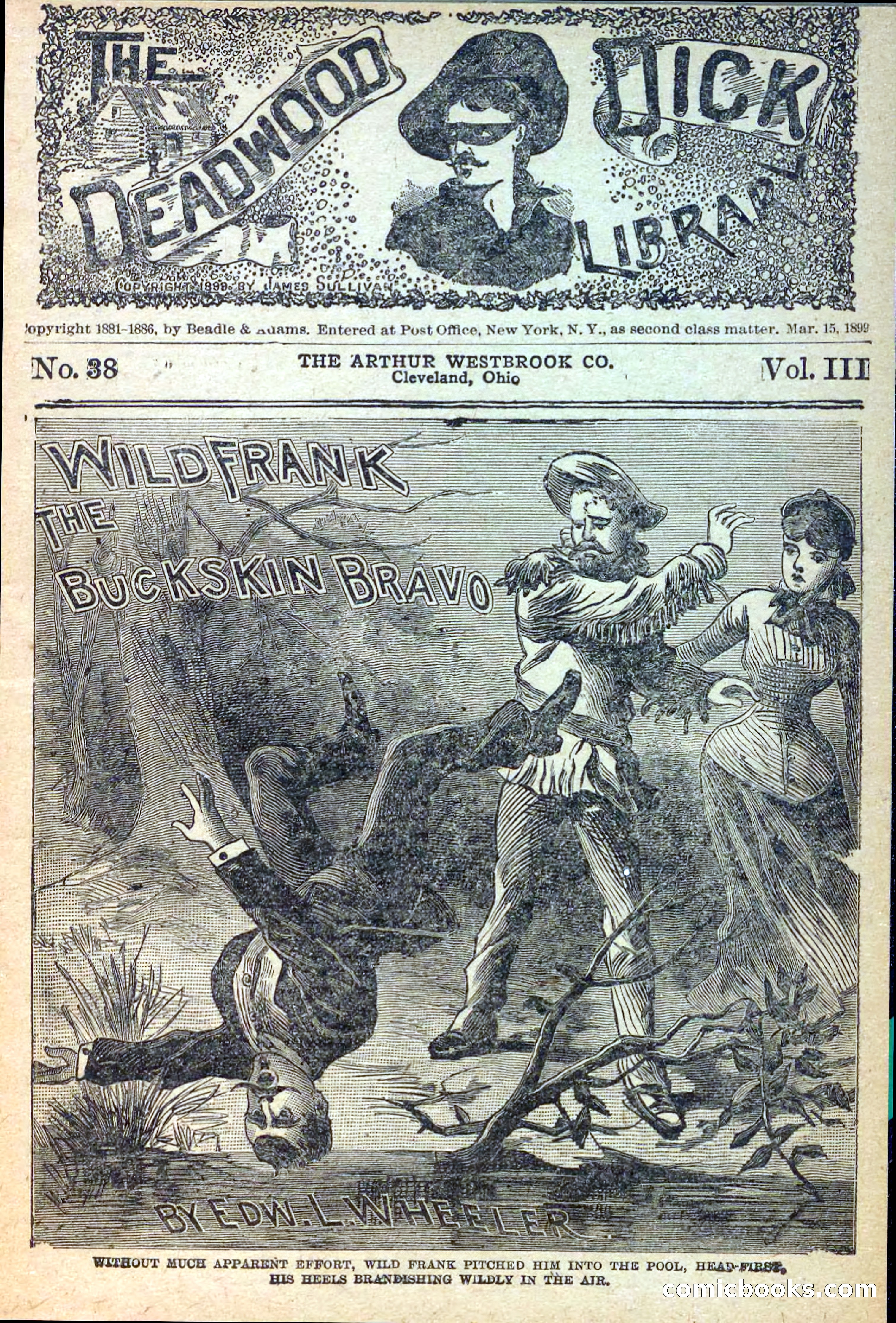 The Deadwood Dick Library, Vol. III, No. 38 — page 39 of 42