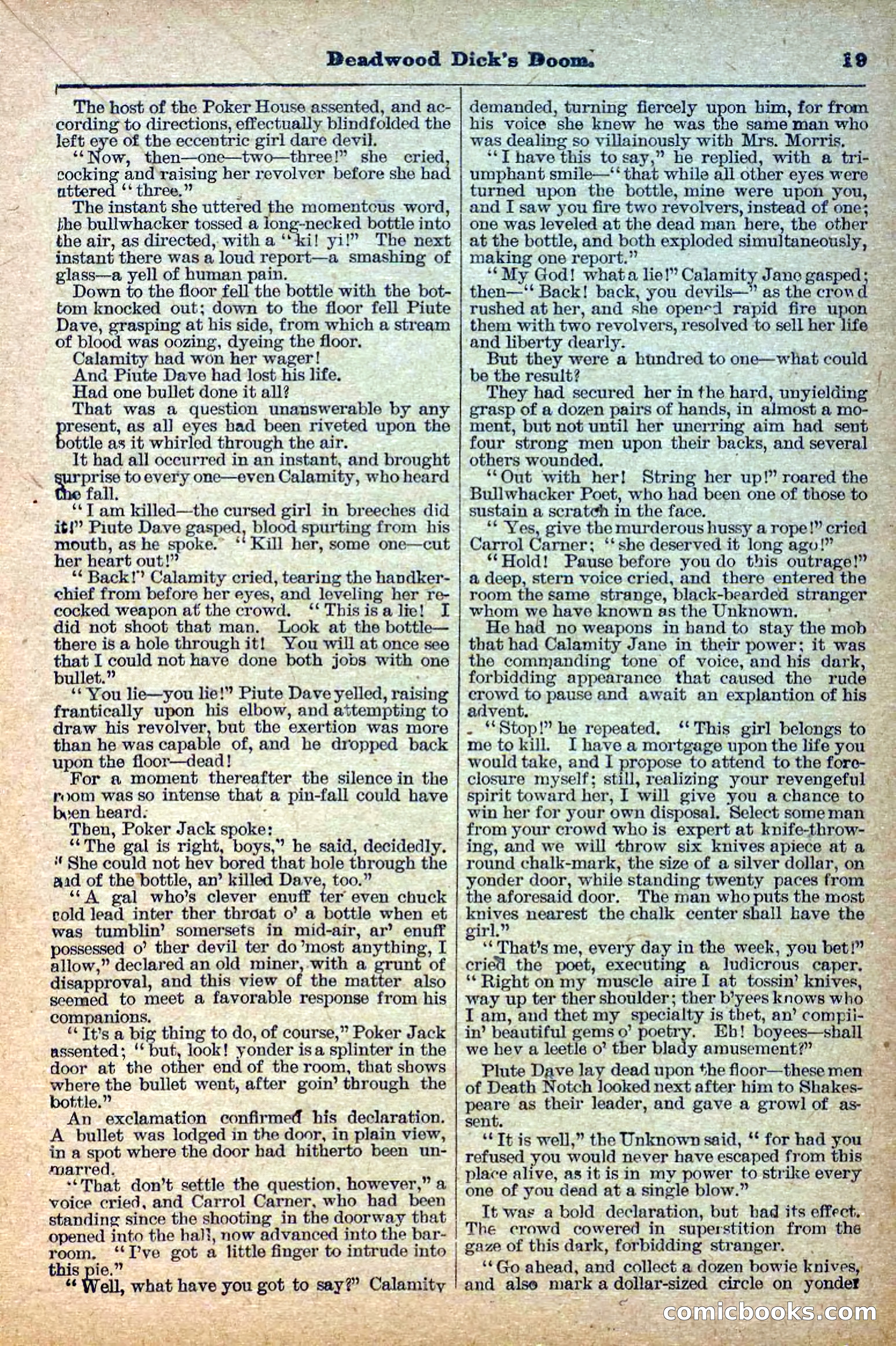 The Deadwood Dick Library, Vol. III, No. 39 — page 21 of 42