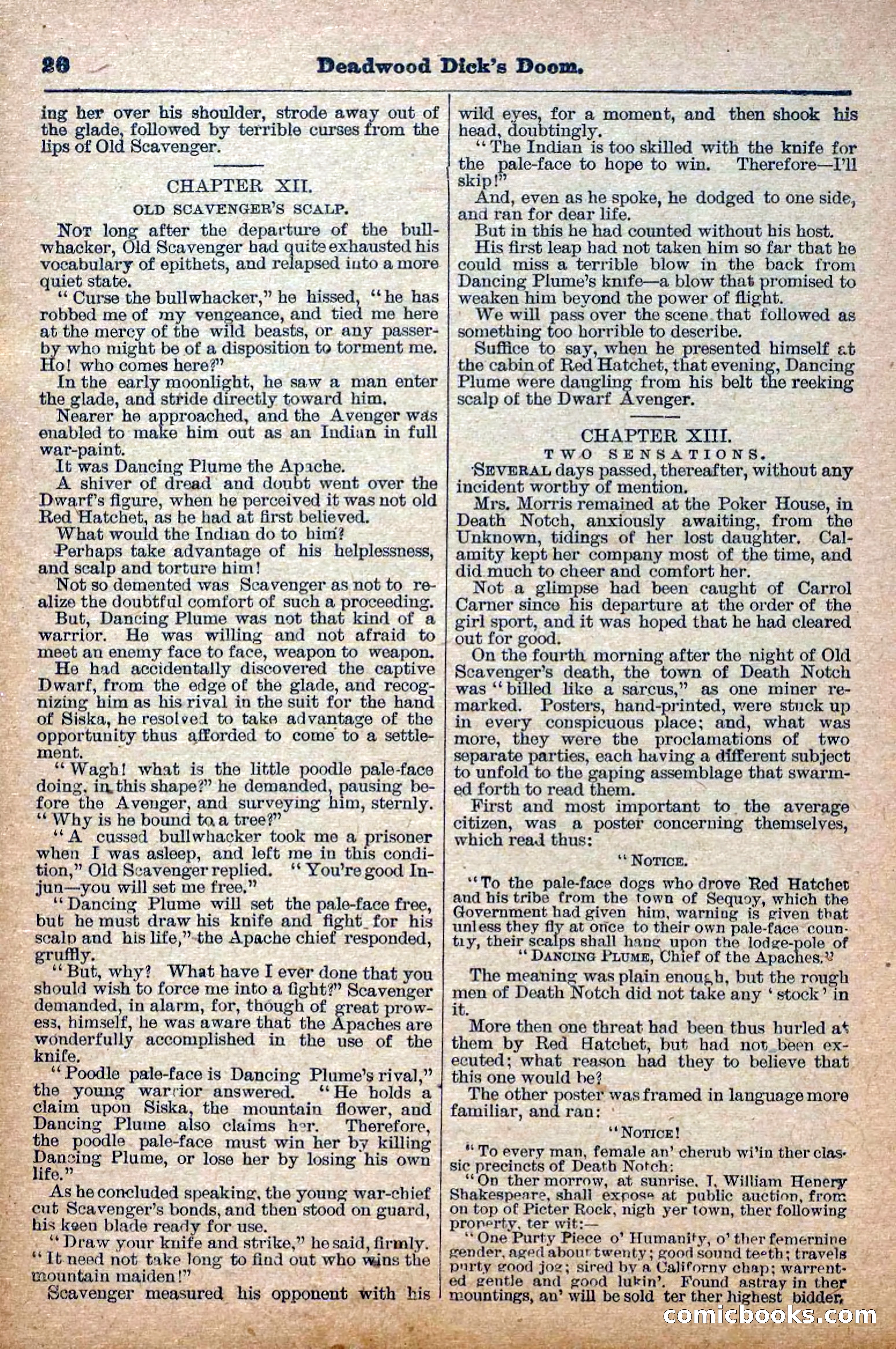 The Deadwood Dick Library, Vol. III, No. 39 — page 28 of 42