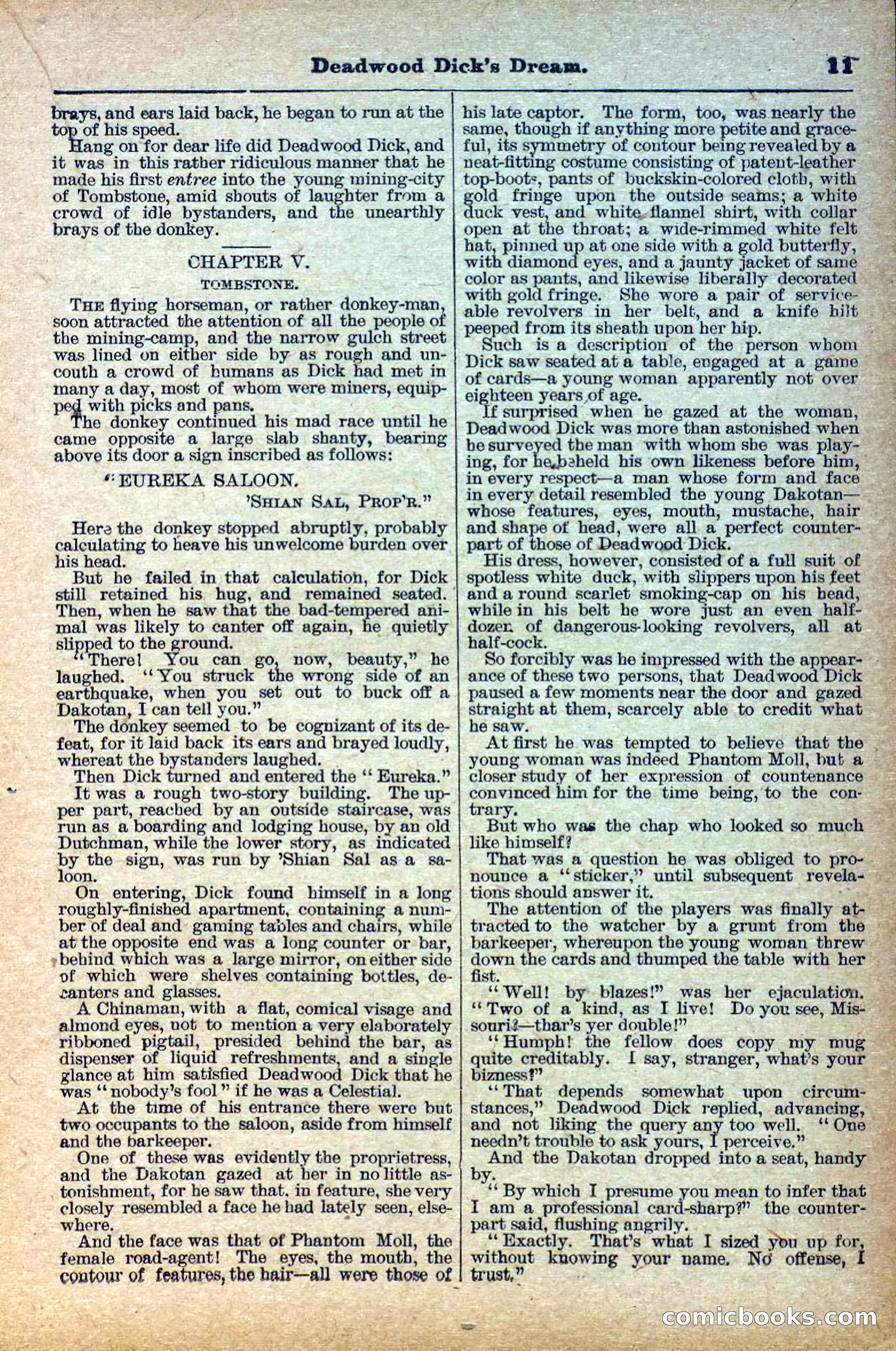 Deadwood Dick Library, Vol. IV, No. 40 — page 13 of 42