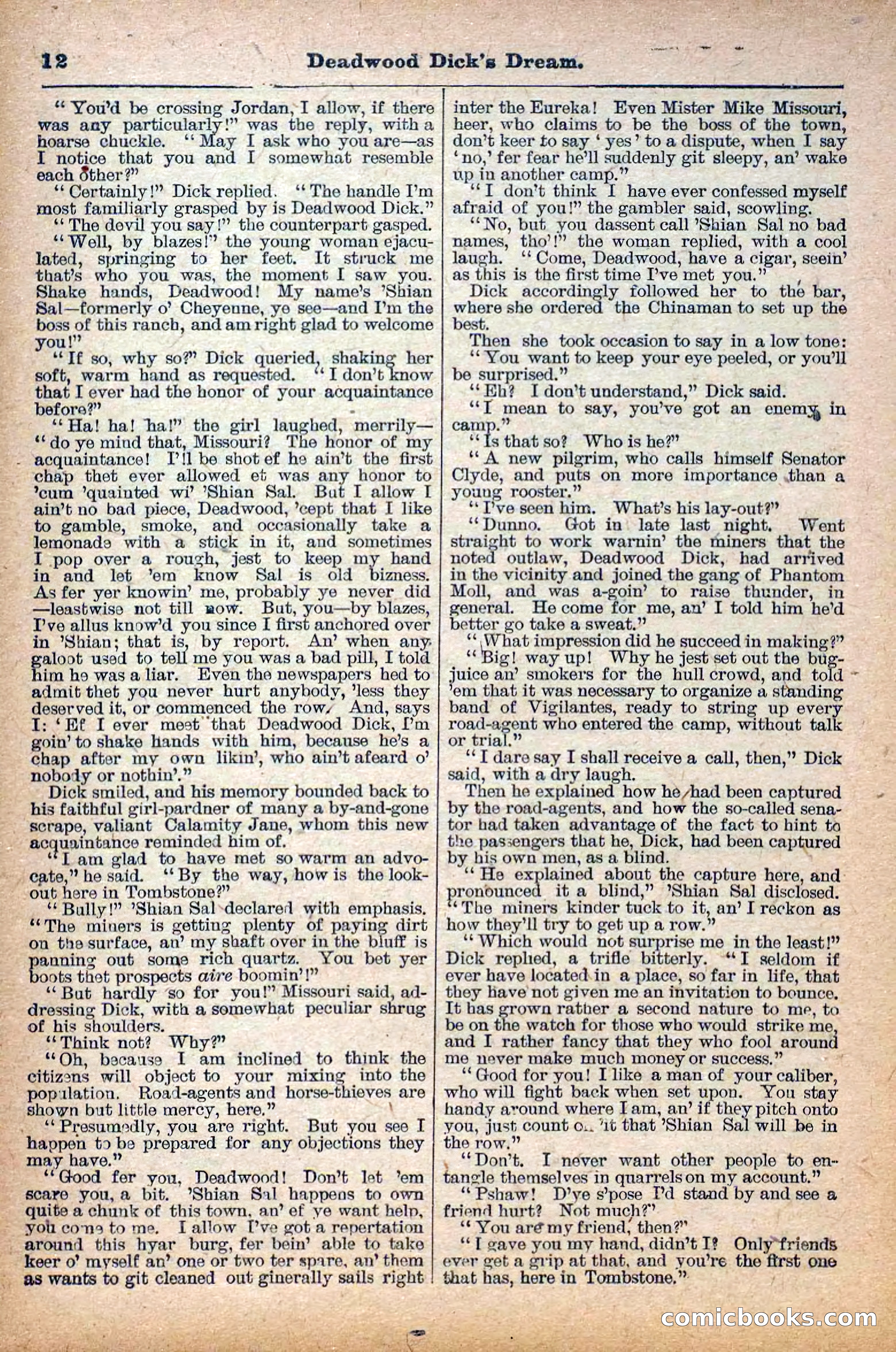 Deadwood Dick Library, Vol. IV, No. 40 — page 14 of 42