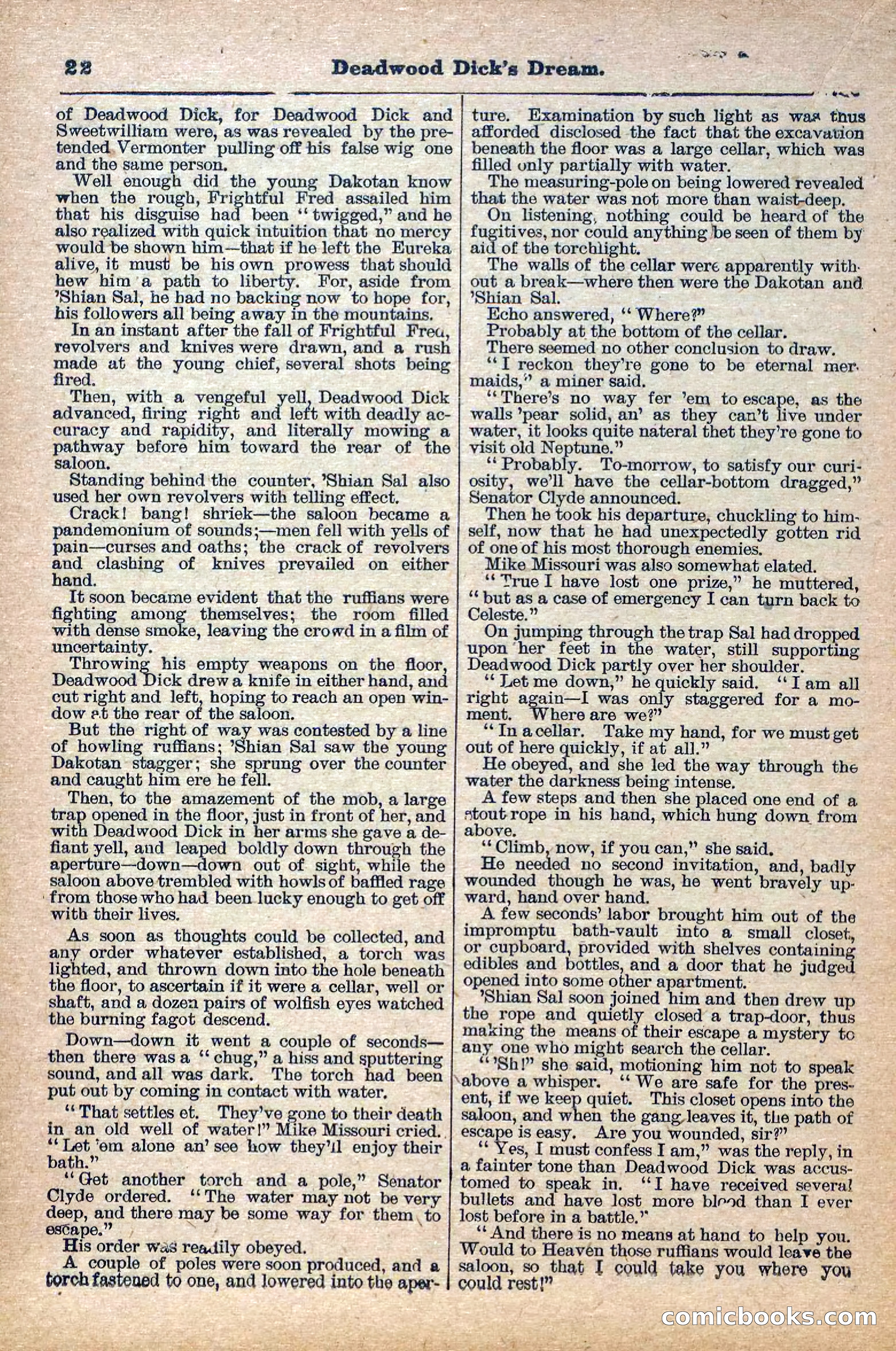 Deadwood Dick Library, Vol. IV, No. 40 — page 24 of 42
