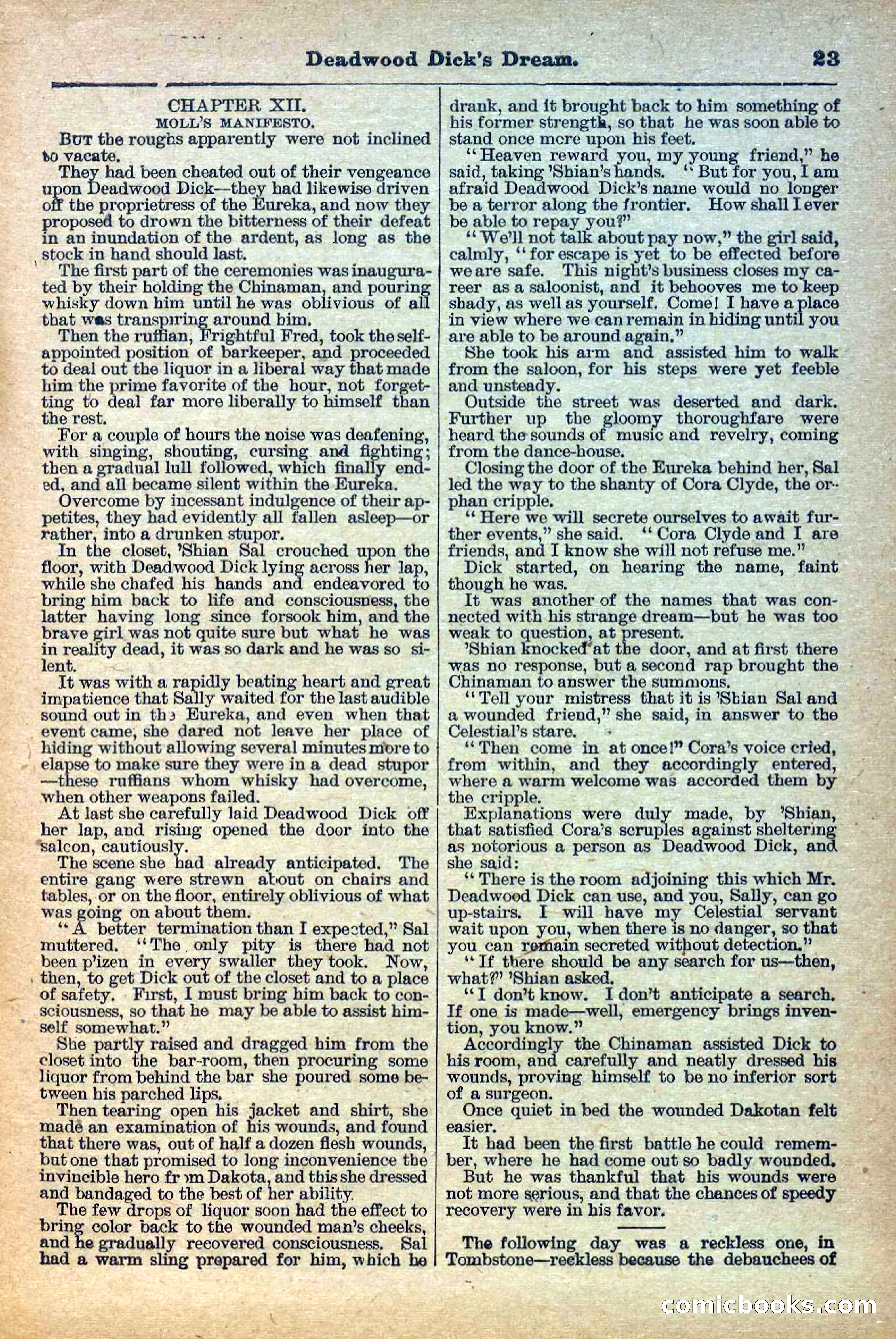 Deadwood Dick Library, Vol. IV, No. 40 — page 25 of 42