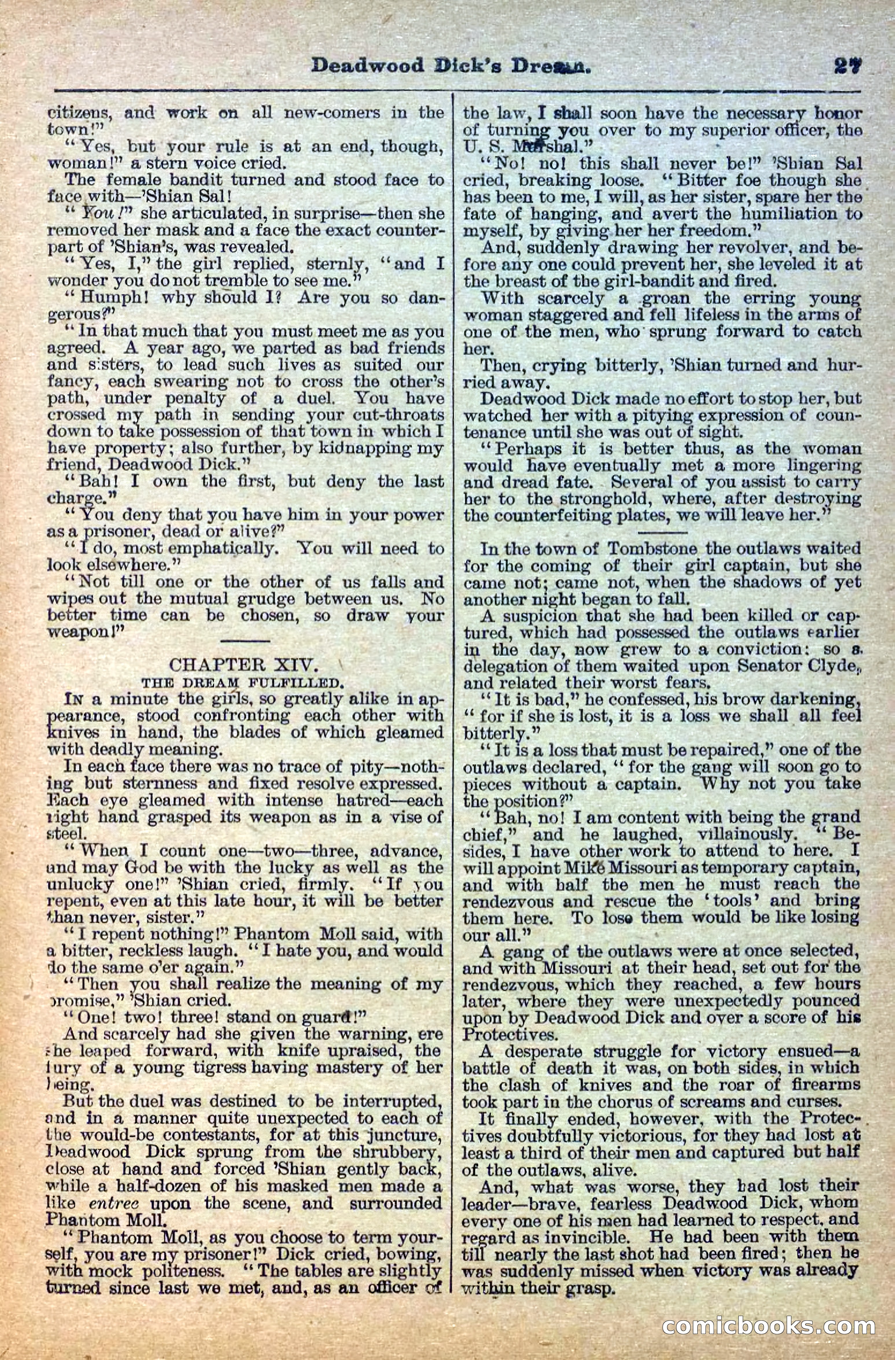 Deadwood Dick Library, Vol. IV, No. 40 — page 29 of 42