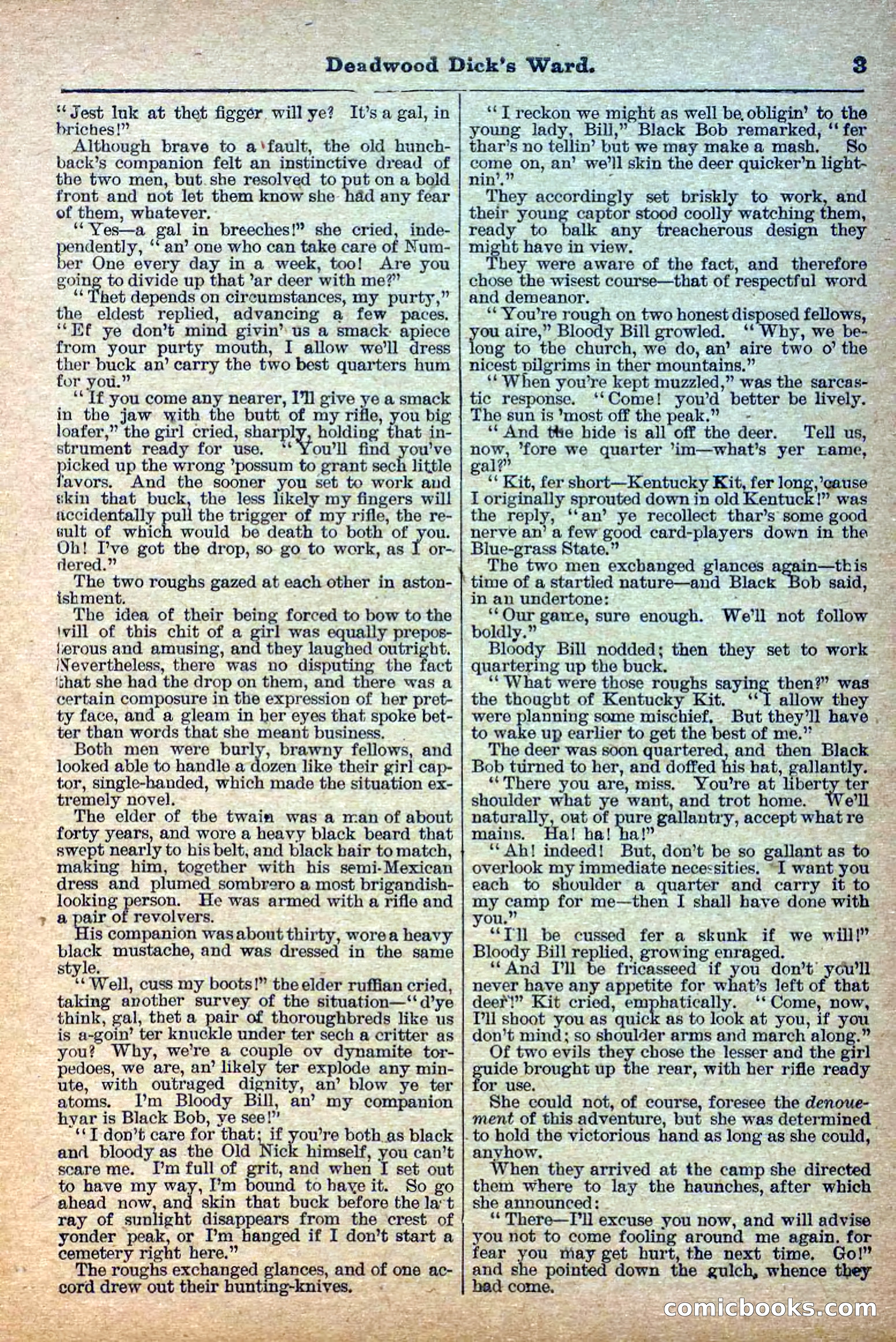 Deadwood Dick Library, Vol. IV, No. 41 — page 5 of 42