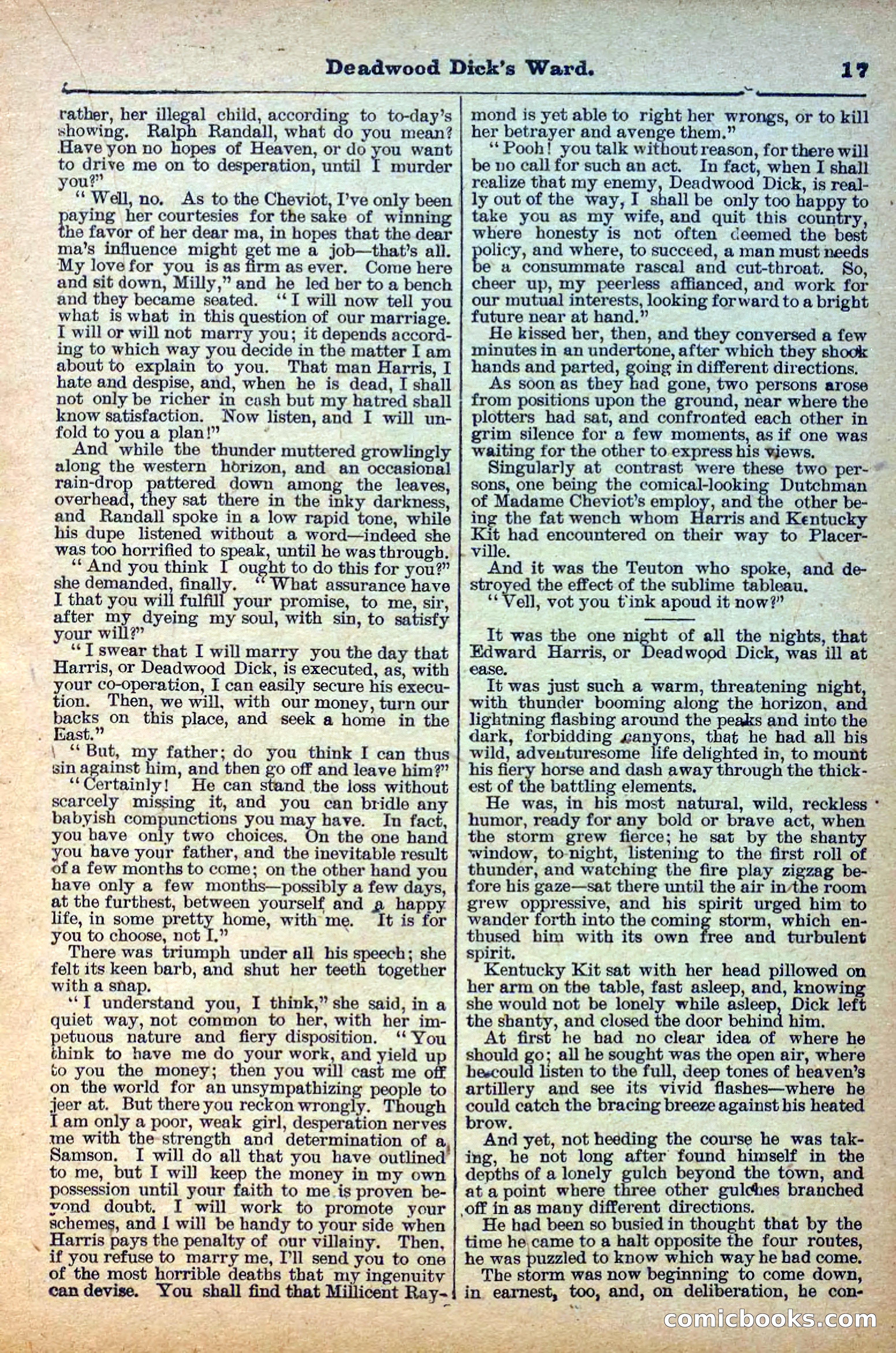 Deadwood Dick Library, Vol. IV, No. 41 — page 19 of 42
