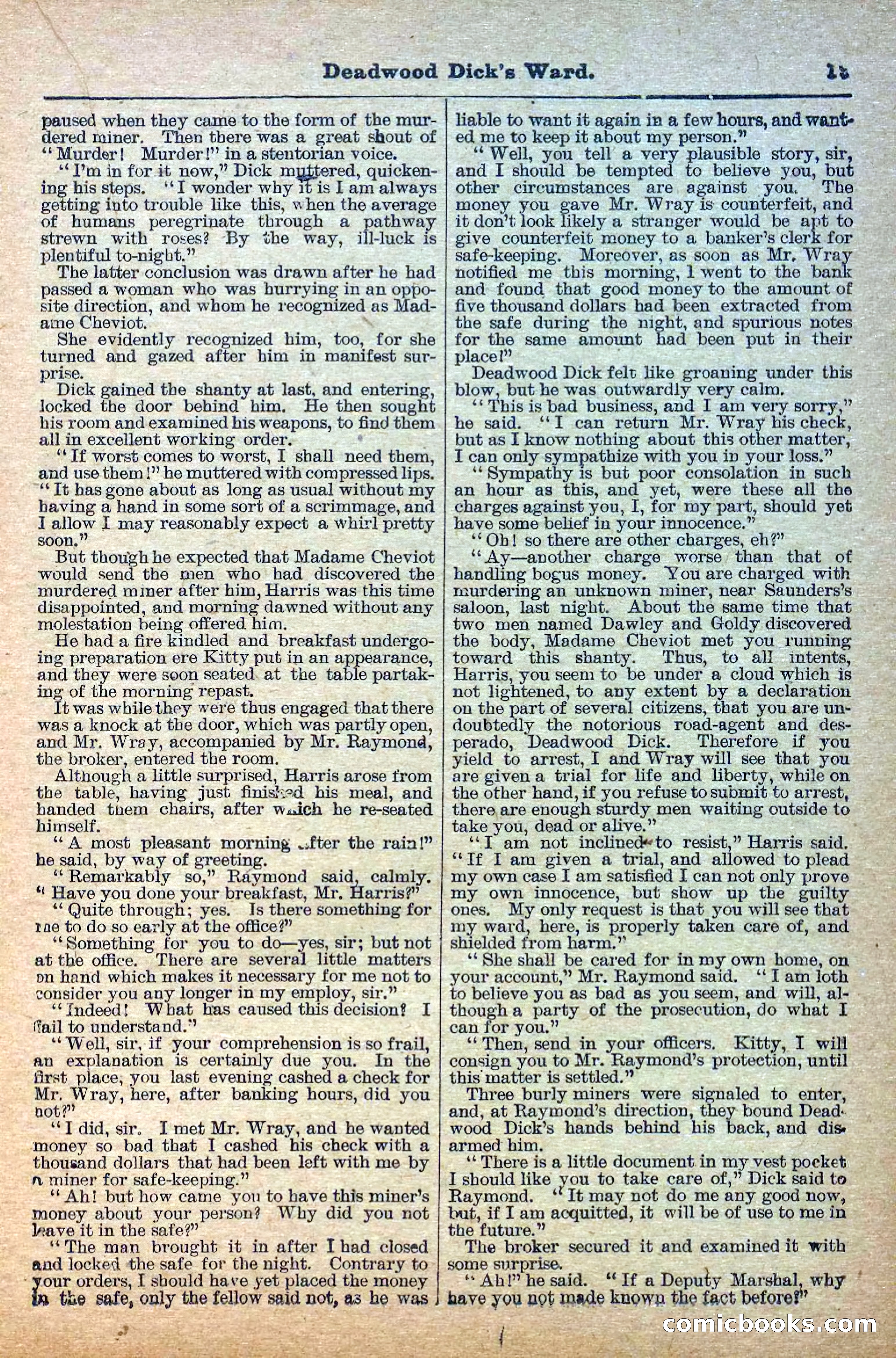 Deadwood Dick Library, Vol. IV, No. 41 — page 21 of 42