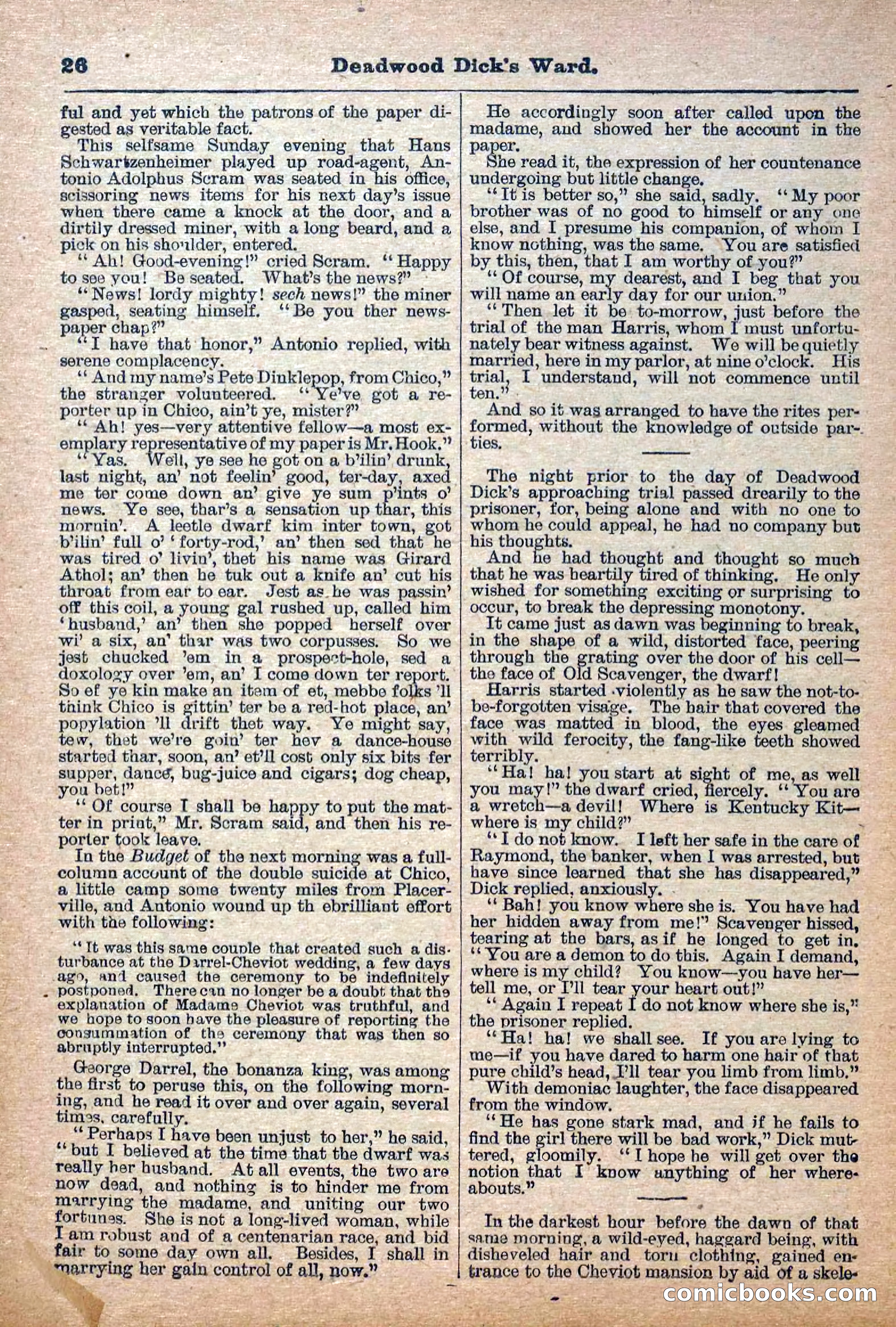 Deadwood Dick Library, Vol. IV, No. 41 — page 28 of 42