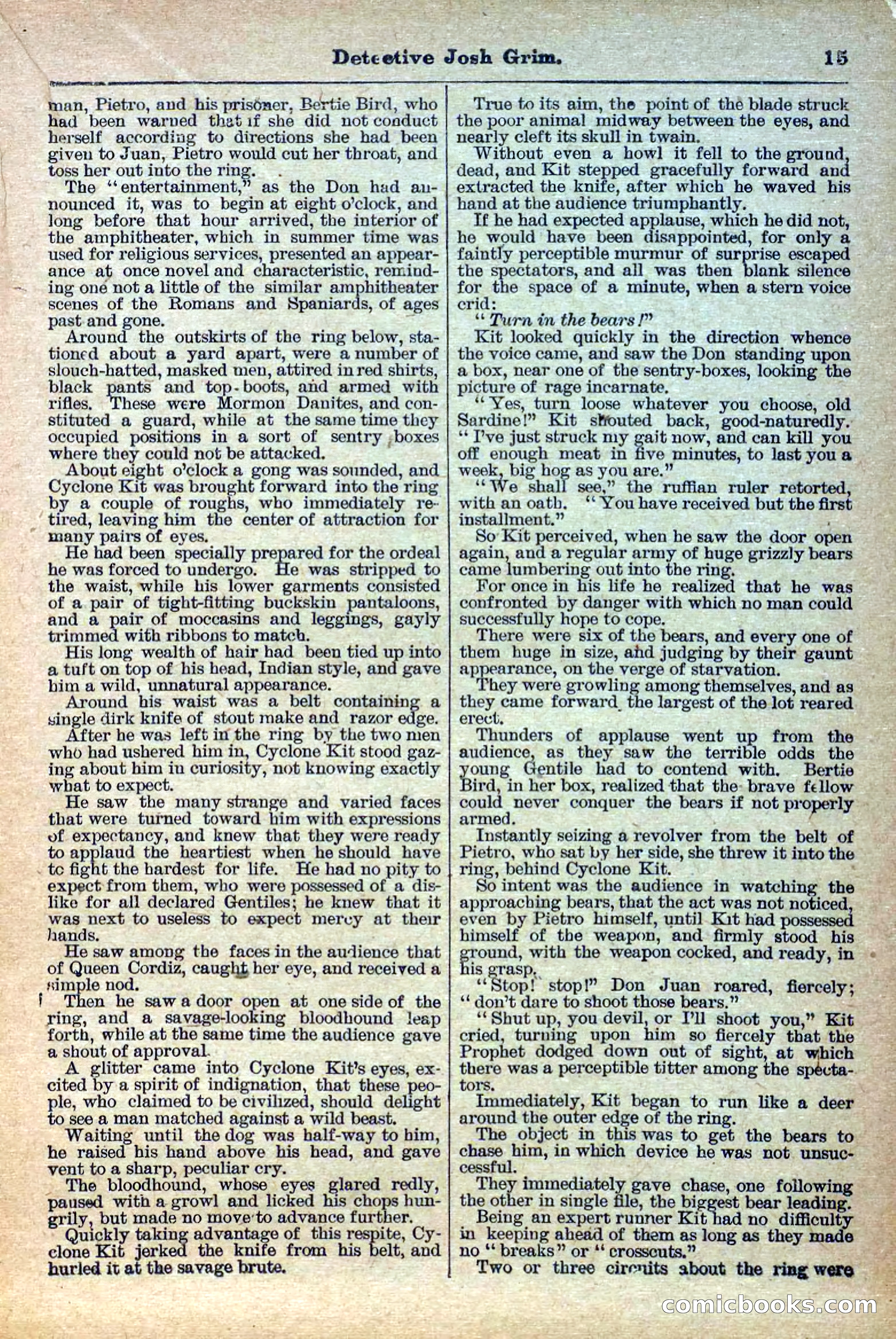 The Deadwood Dick Library, Vol. IV, No. 44 — page 17 of 42