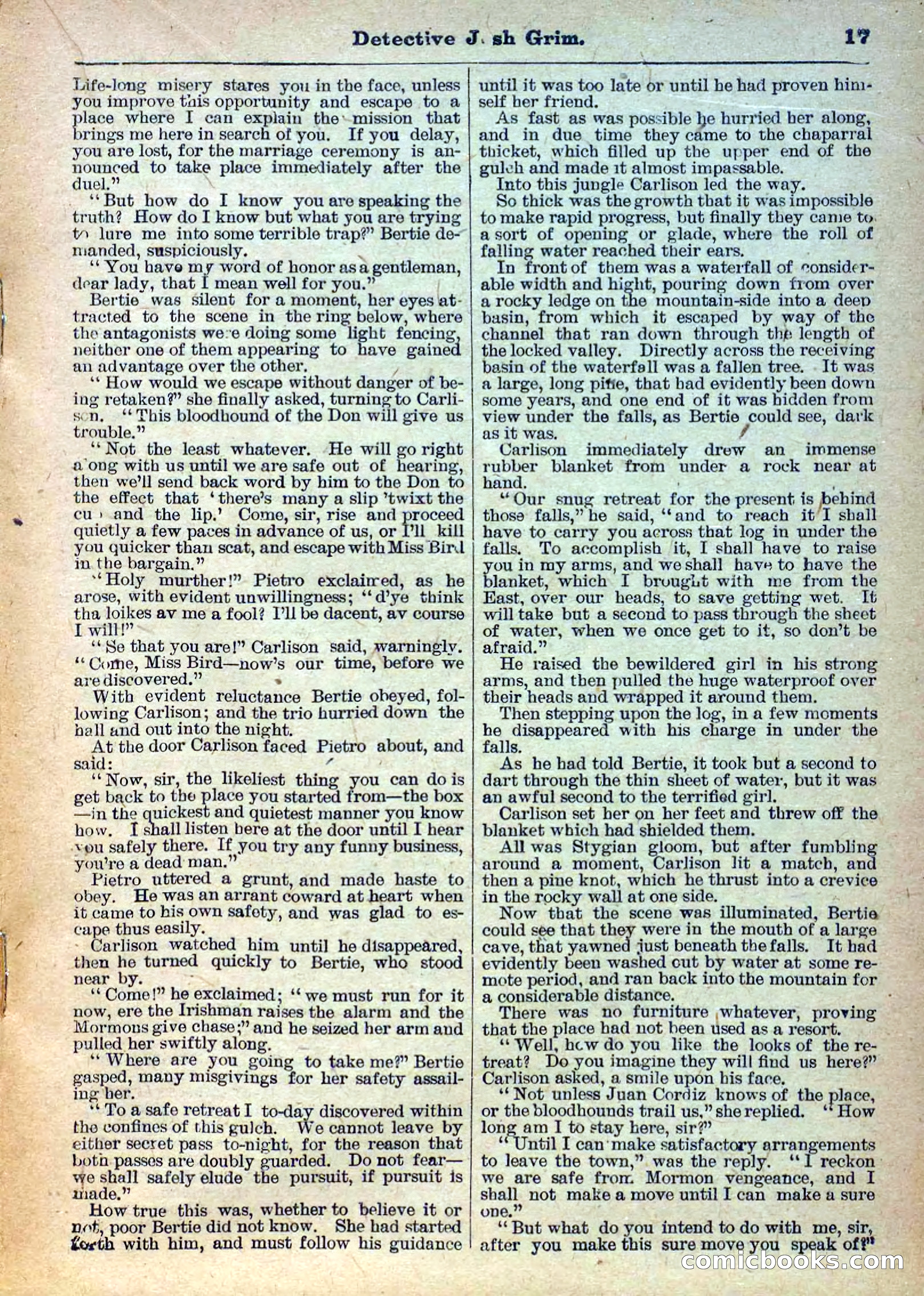 The Deadwood Dick Library, Vol. IV, No. 44 — page 19 of 42