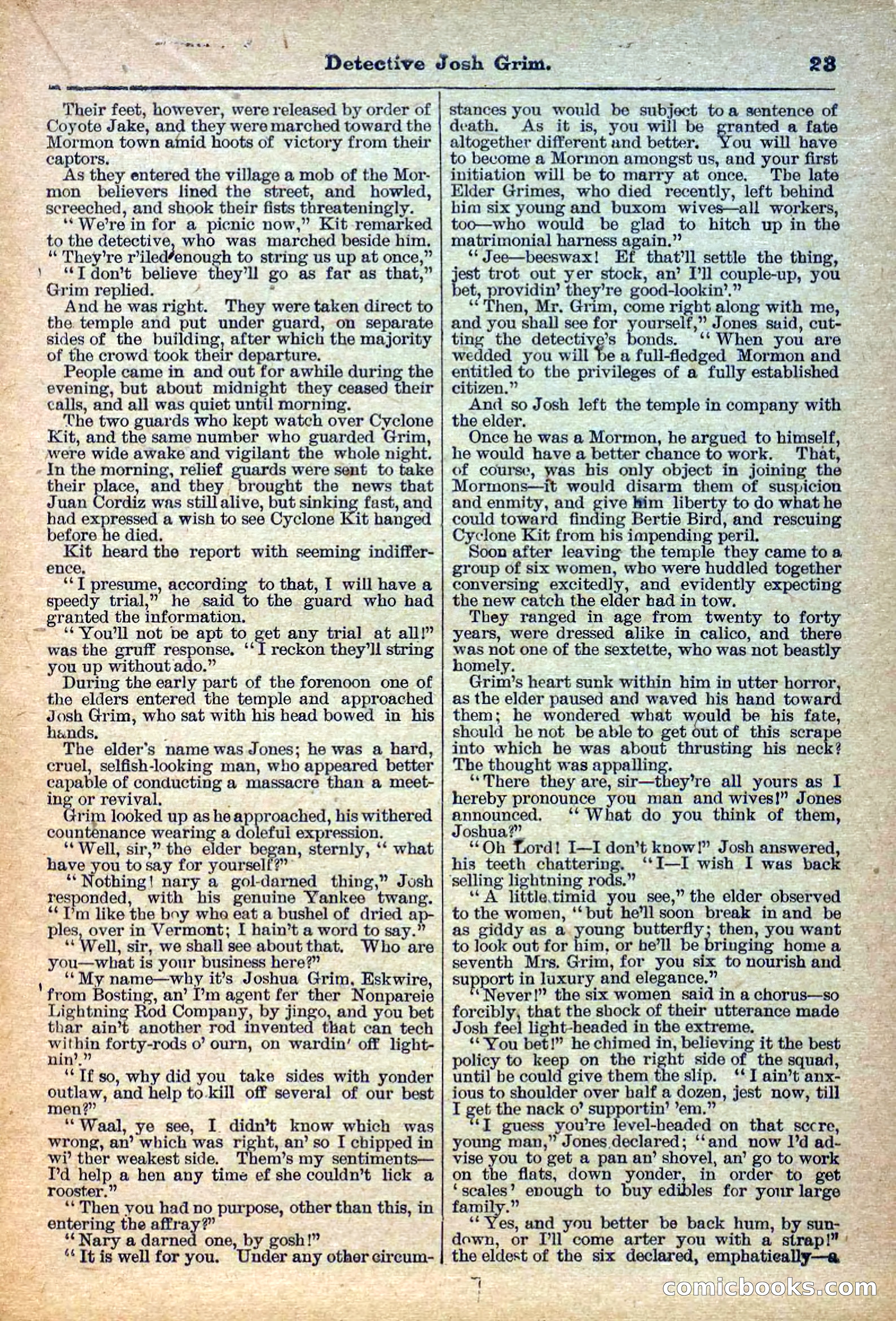The Deadwood Dick Library, Vol. IV, No. 44 — page 25 of 42