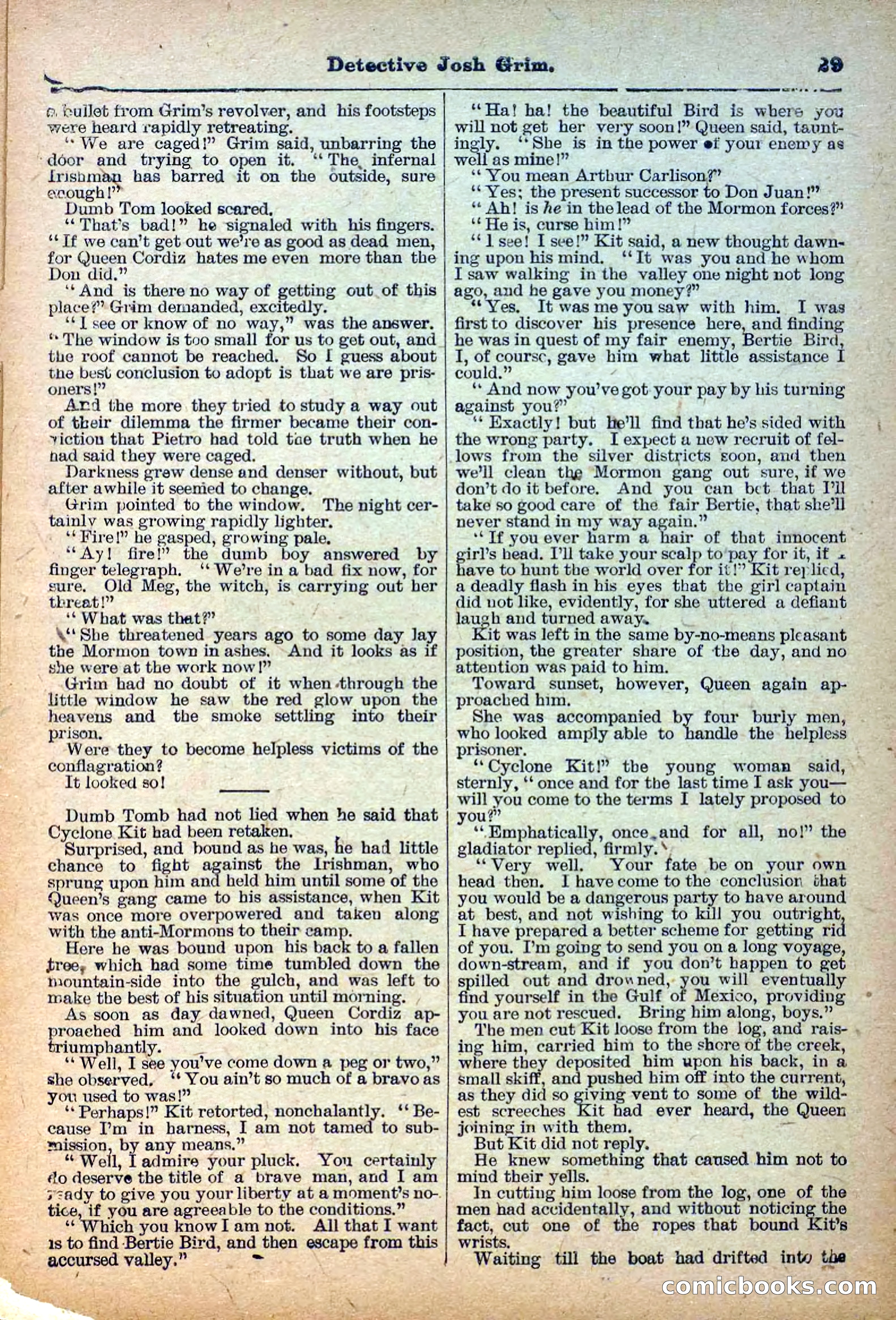 The Deadwood Dick Library, Vol. IV, No. 44 — page 31 of 42
