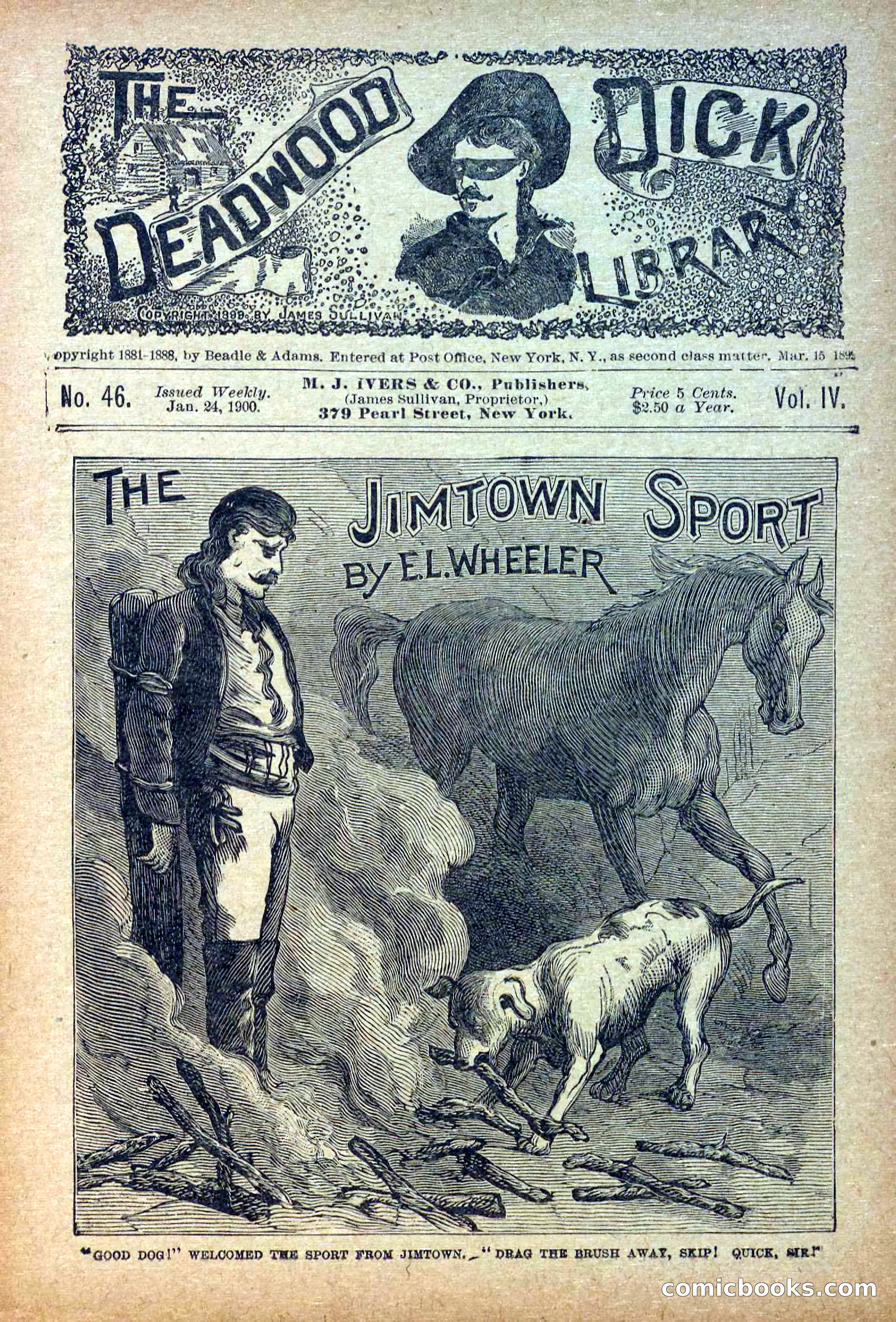 The Deadwood Dick Library, Vol. IV, No. 46 — page 3 of 40
