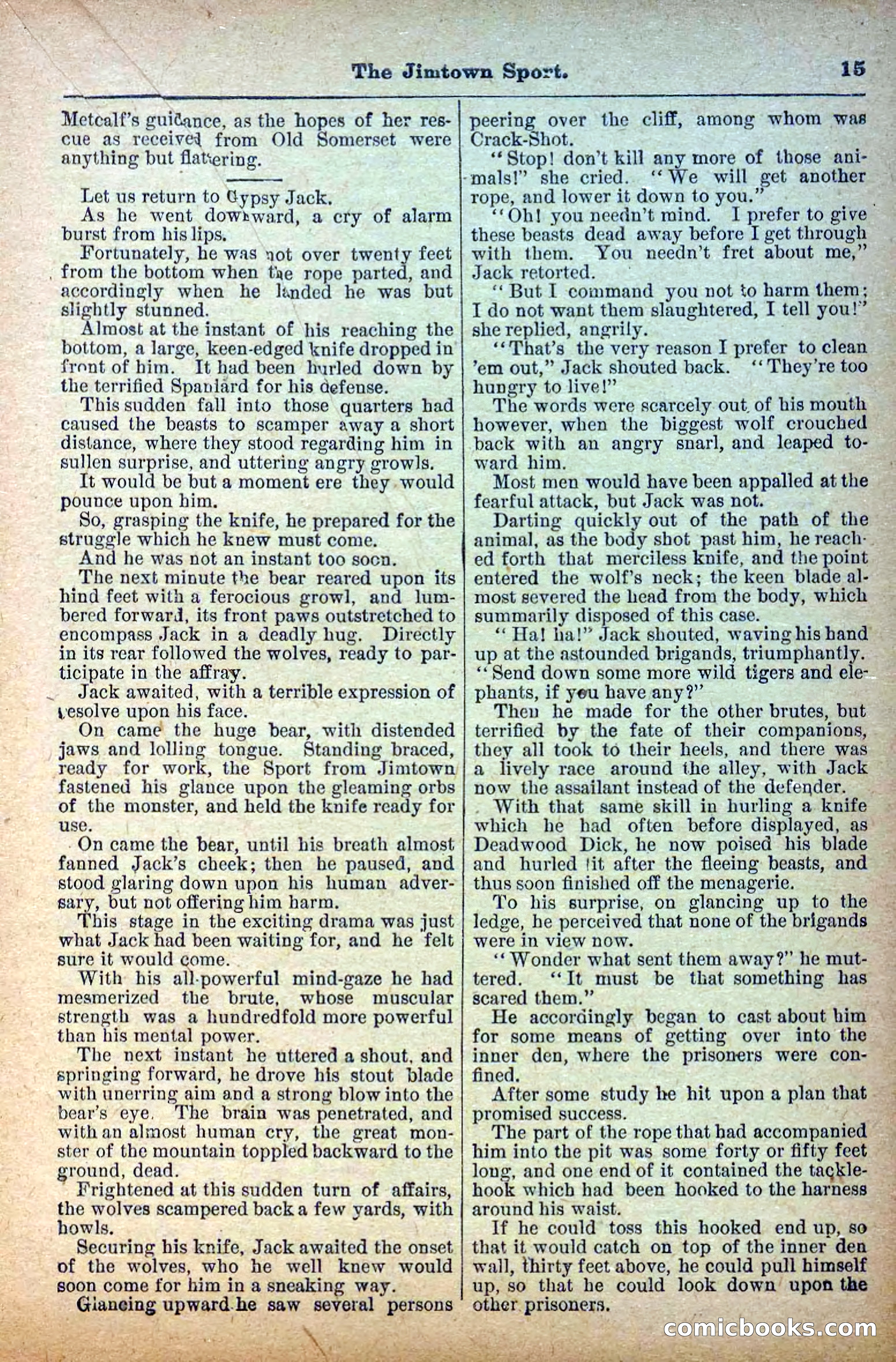 The Deadwood Dick Library, Vol. IV, No. 46 — page 17 of 40