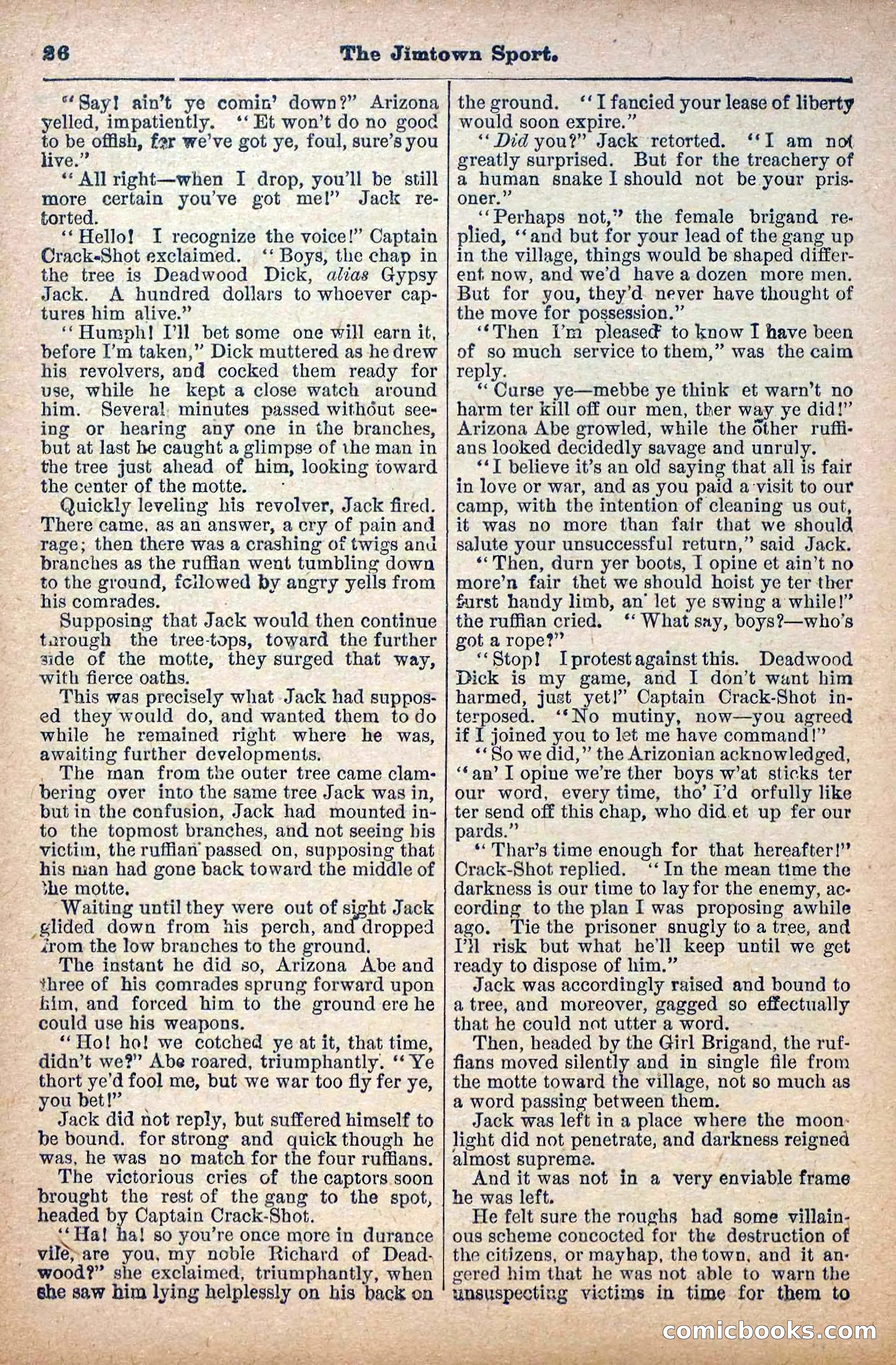 The Deadwood Dick Library, Vol. IV, No. 46 — page 28 of 40