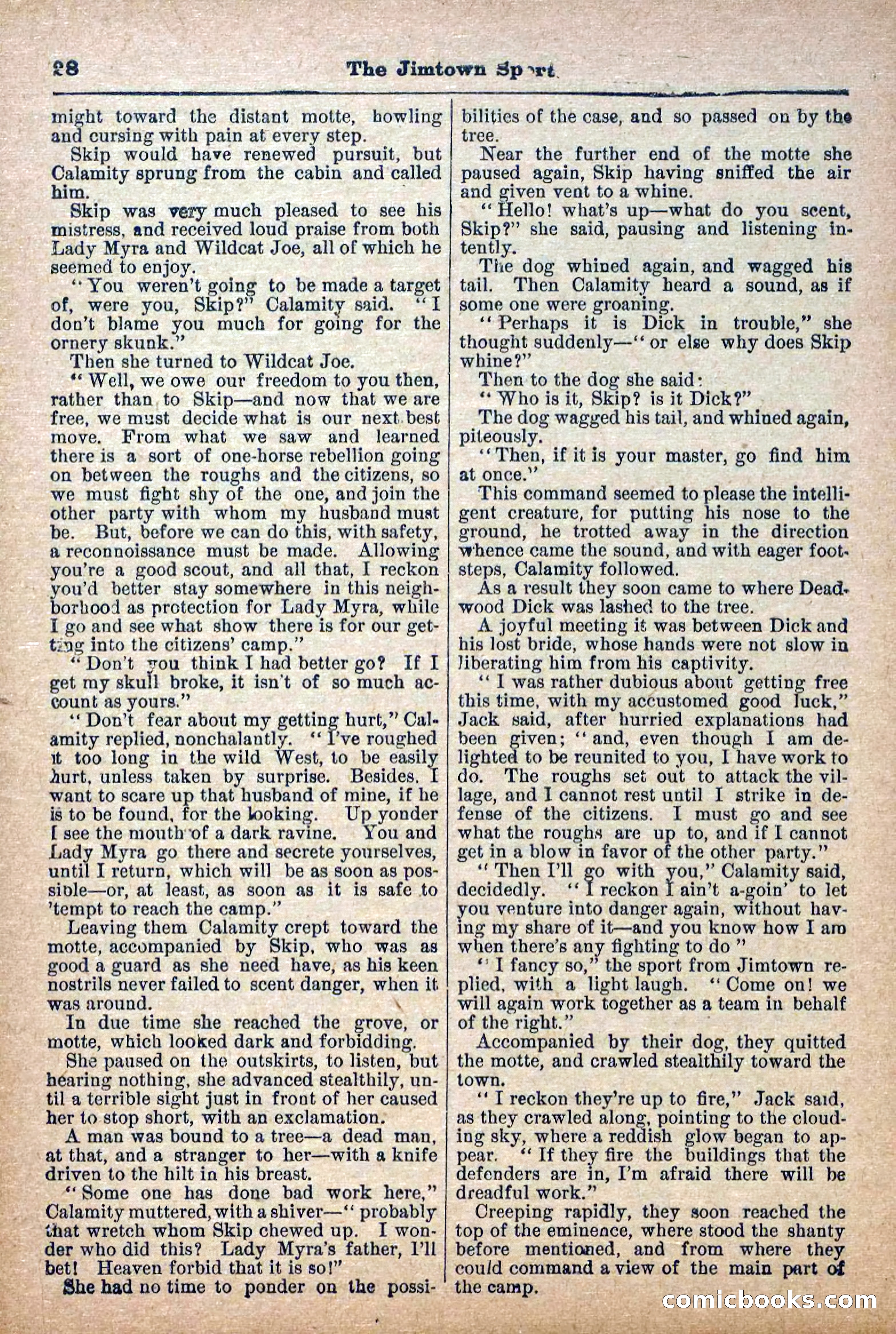The Deadwood Dick Library, Vol. IV, No. 46 — page 30 of 40