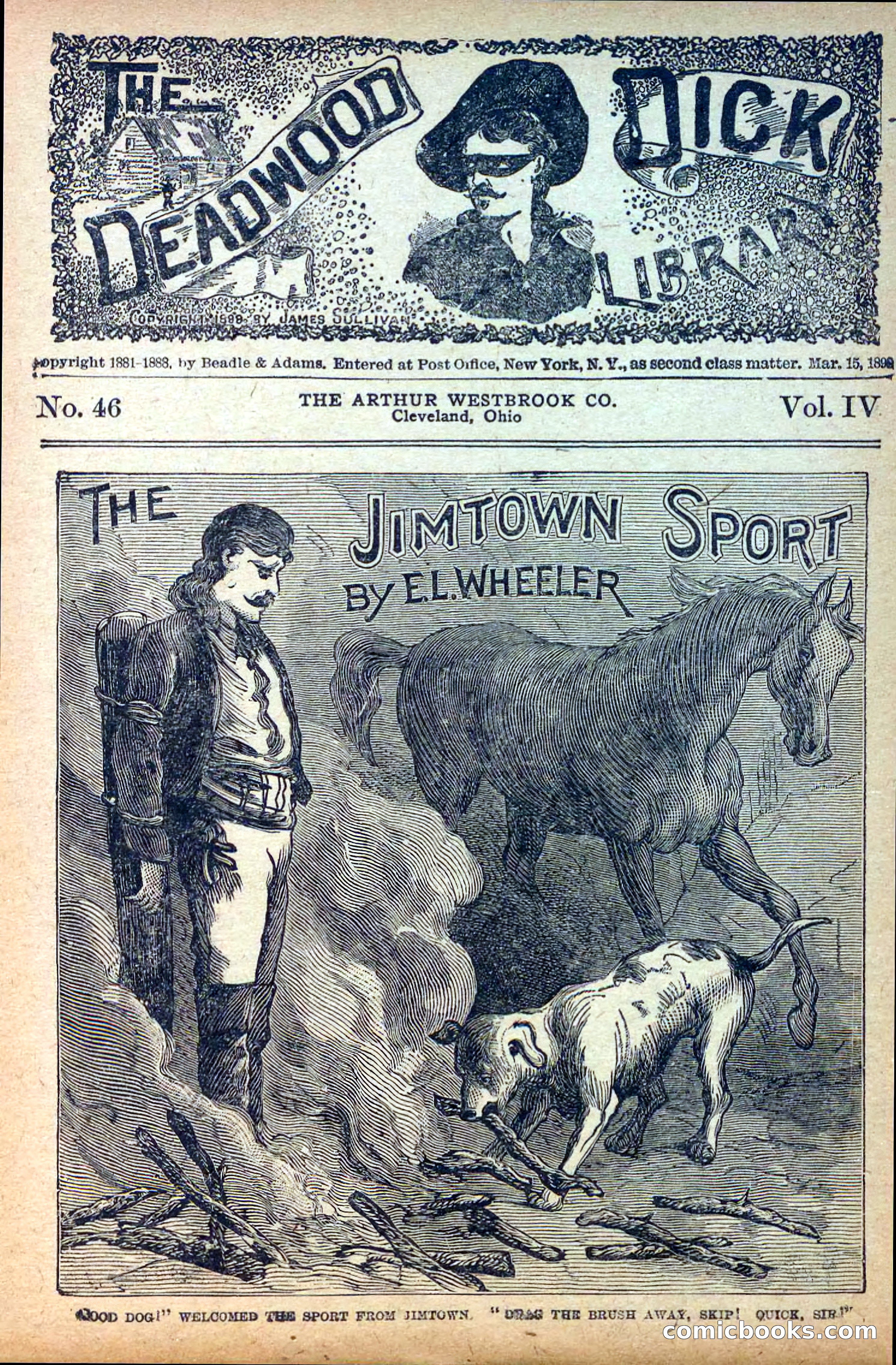The Deadwood Dick Library, Vol. IV, No. 46 — page 39 of 40
