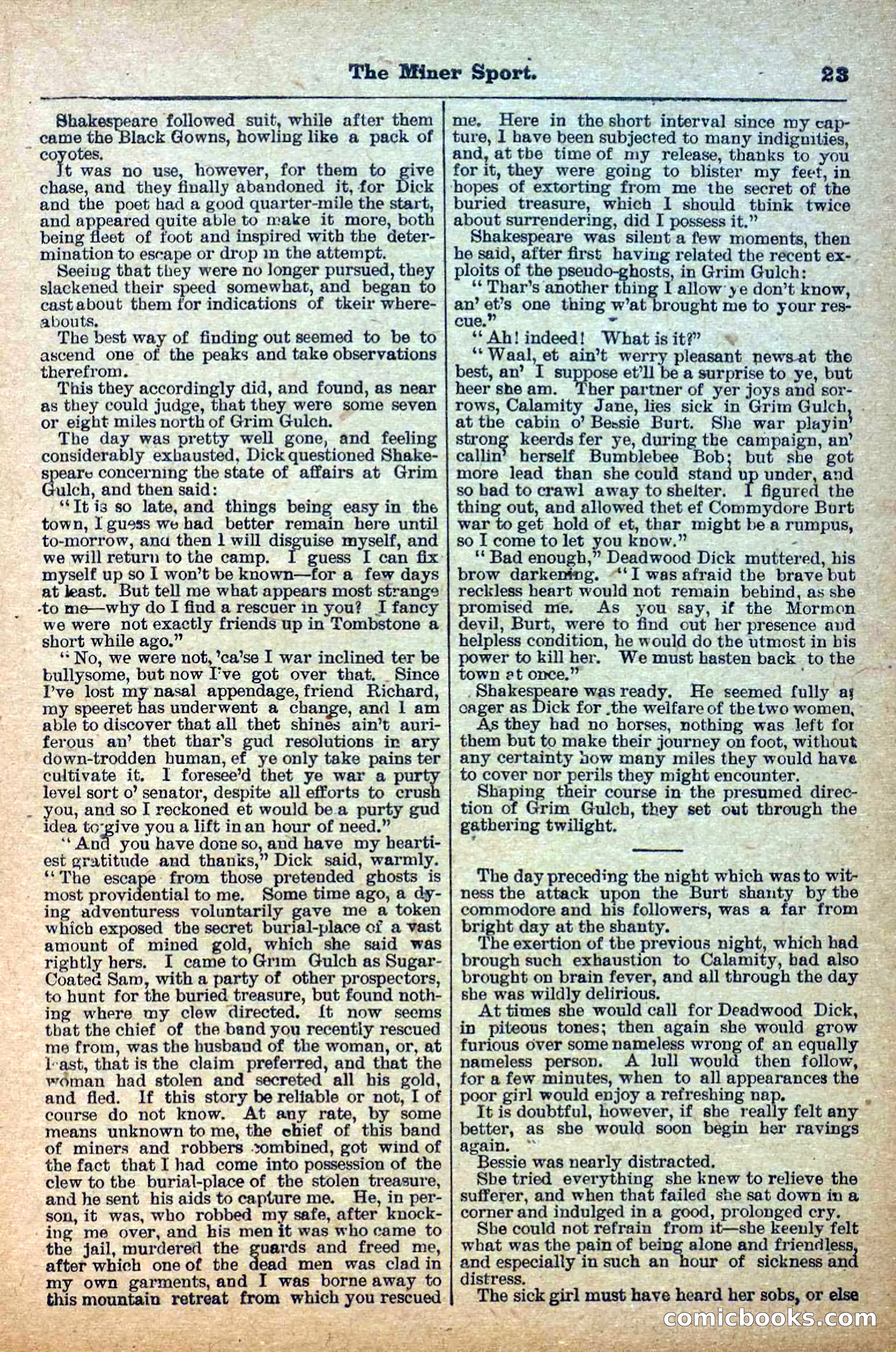 Deadwood Dick Library, Vol. IV, No. 47 — page 25 of 42