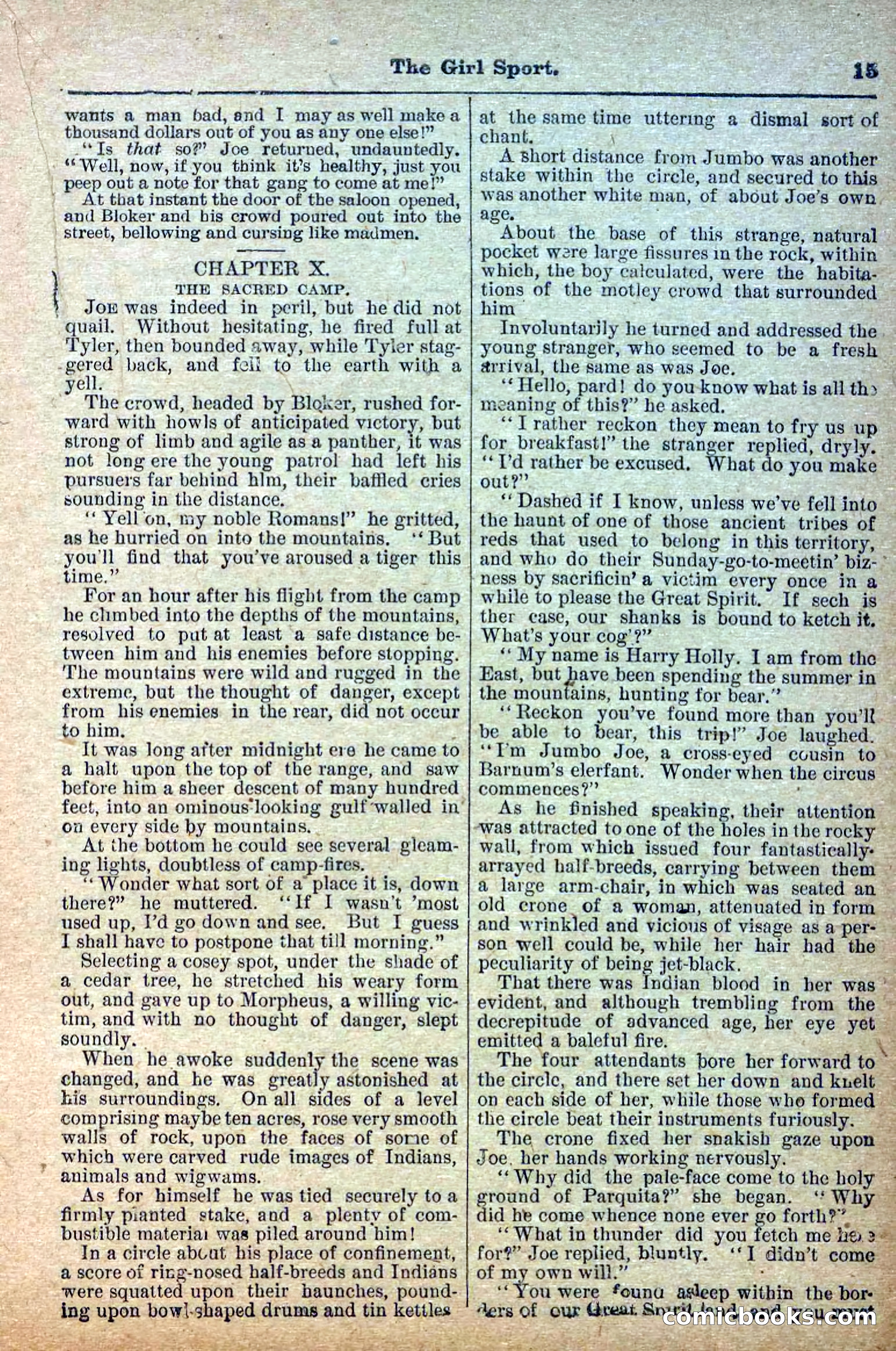 Deadwood Dick Library, Vol. IV, No. 52 — page 17 of 40