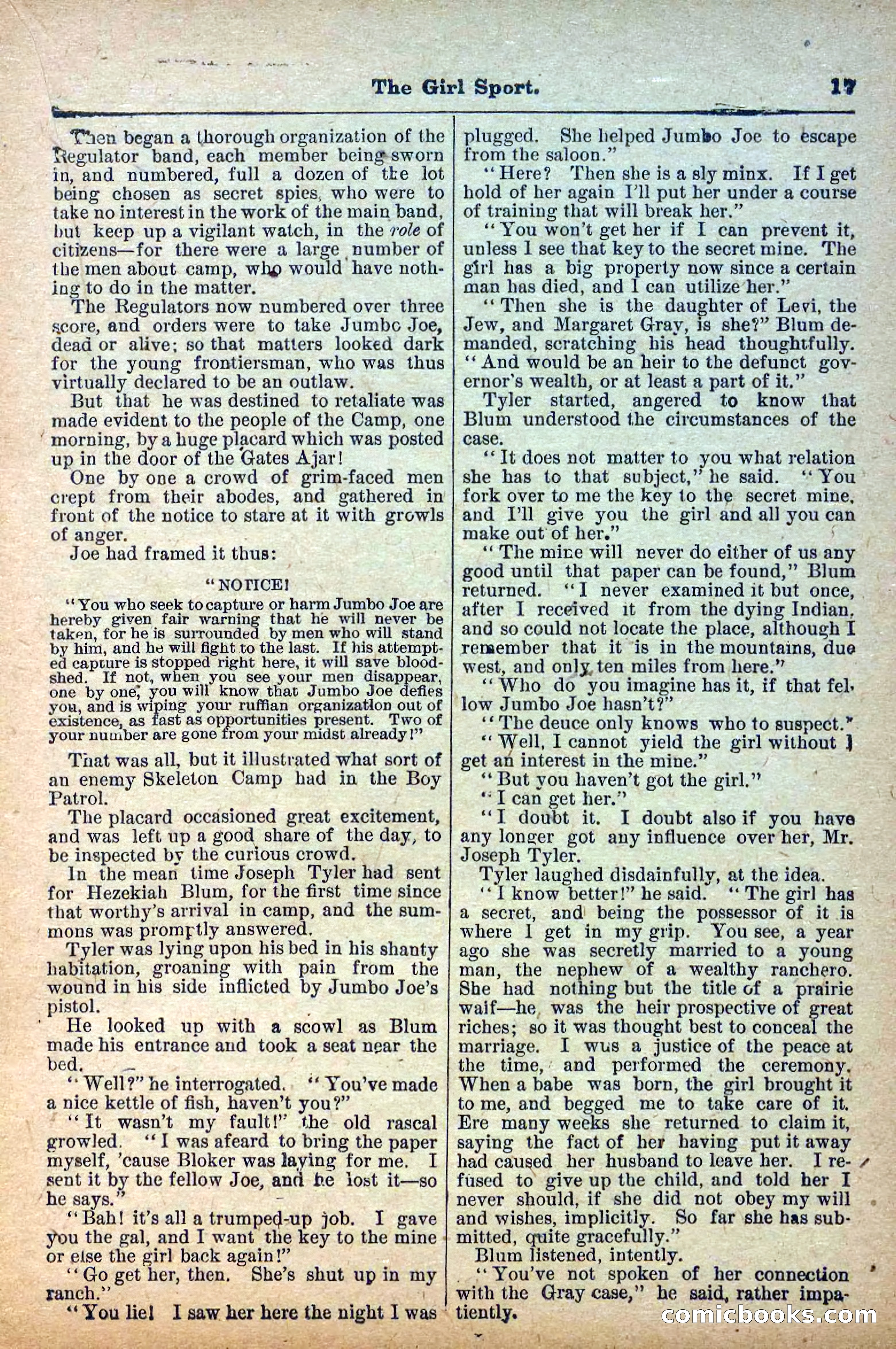 Deadwood Dick Library, Vol. IV, No. 52 — page 19 of 40