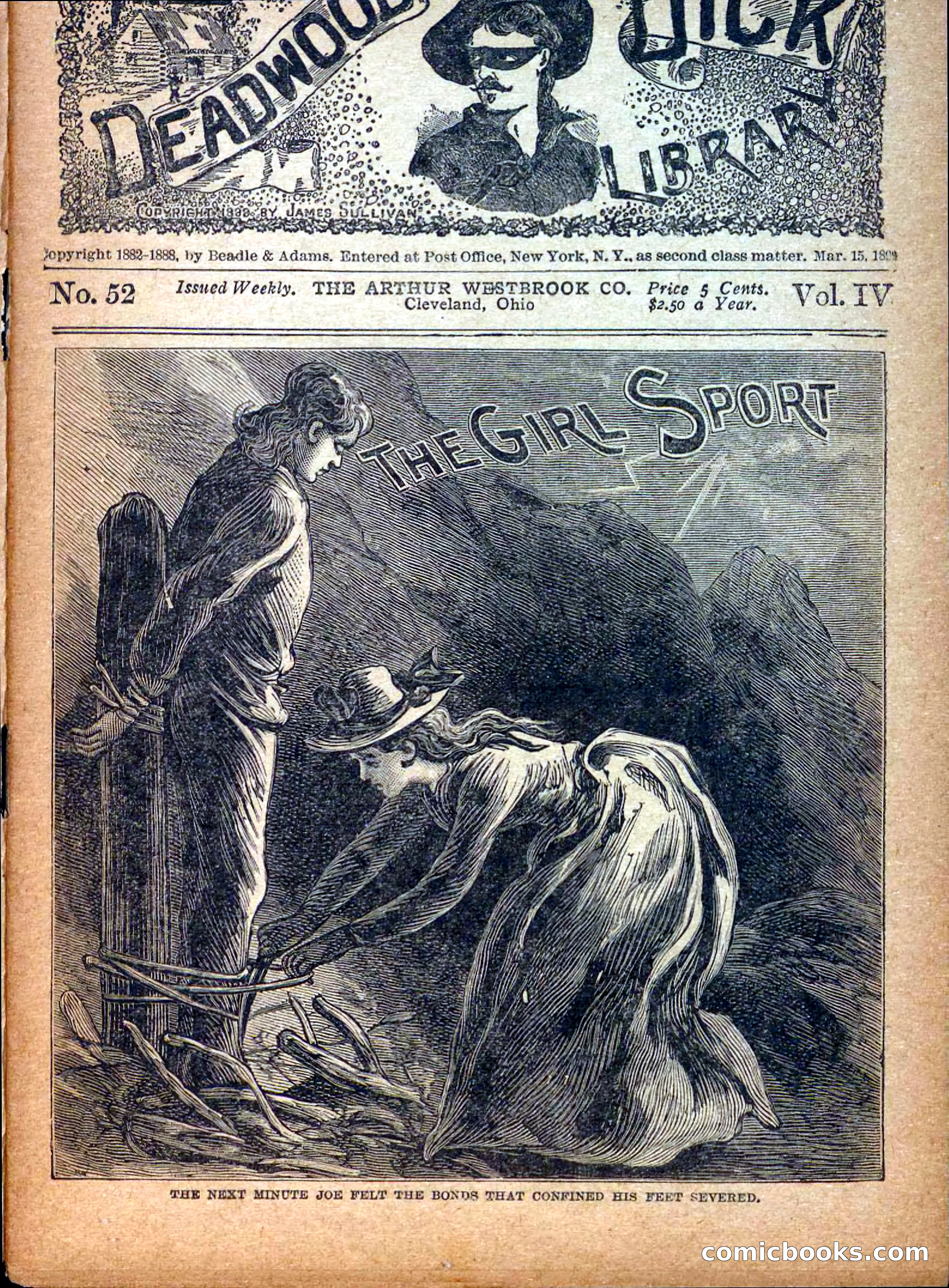 Deadwood Dick Library, Vol. IV, No. 52 — page 39 of 40