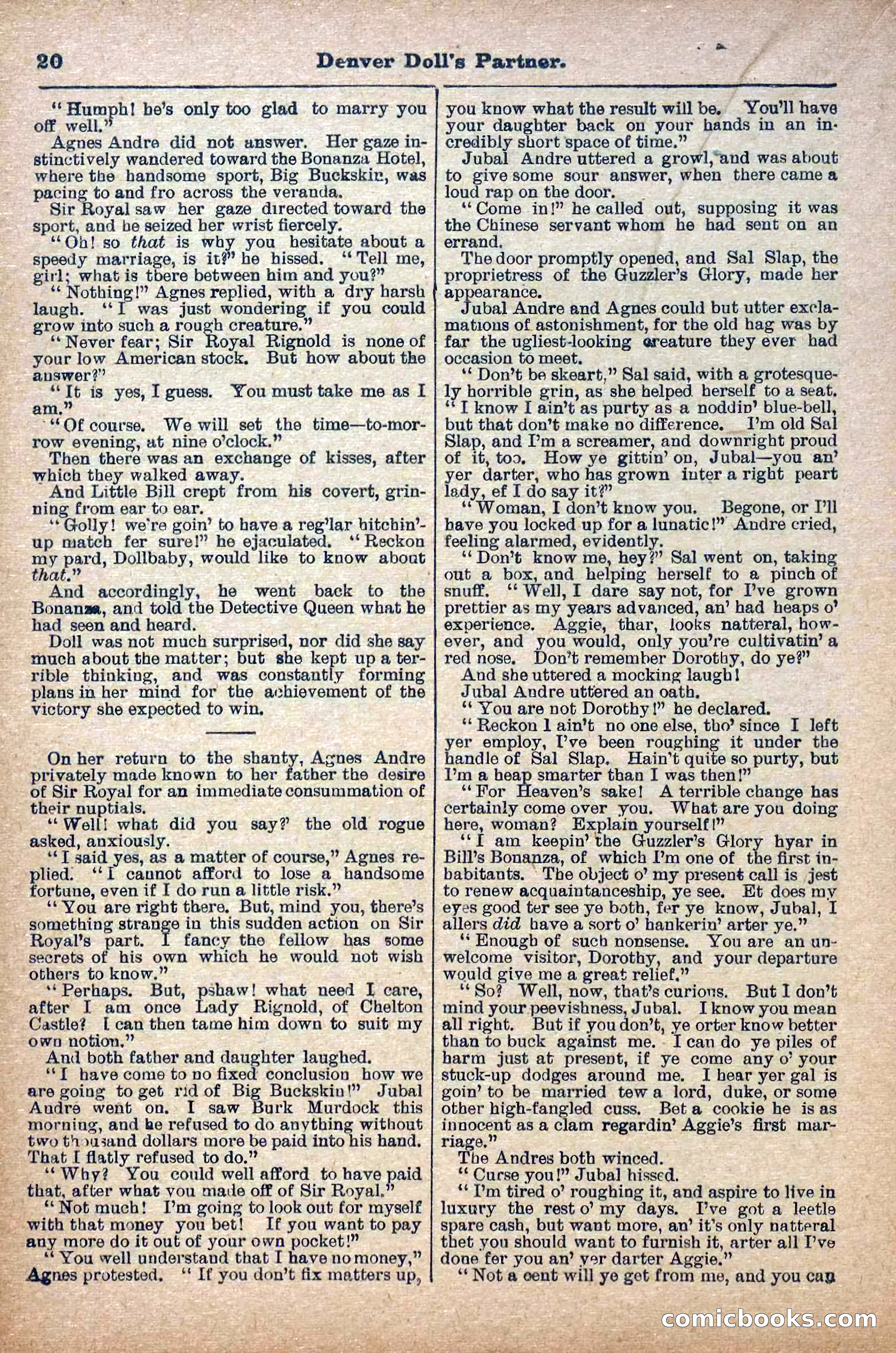 The Deadwood Dick Library, Vol. V, No. 55 — page 22 of 38