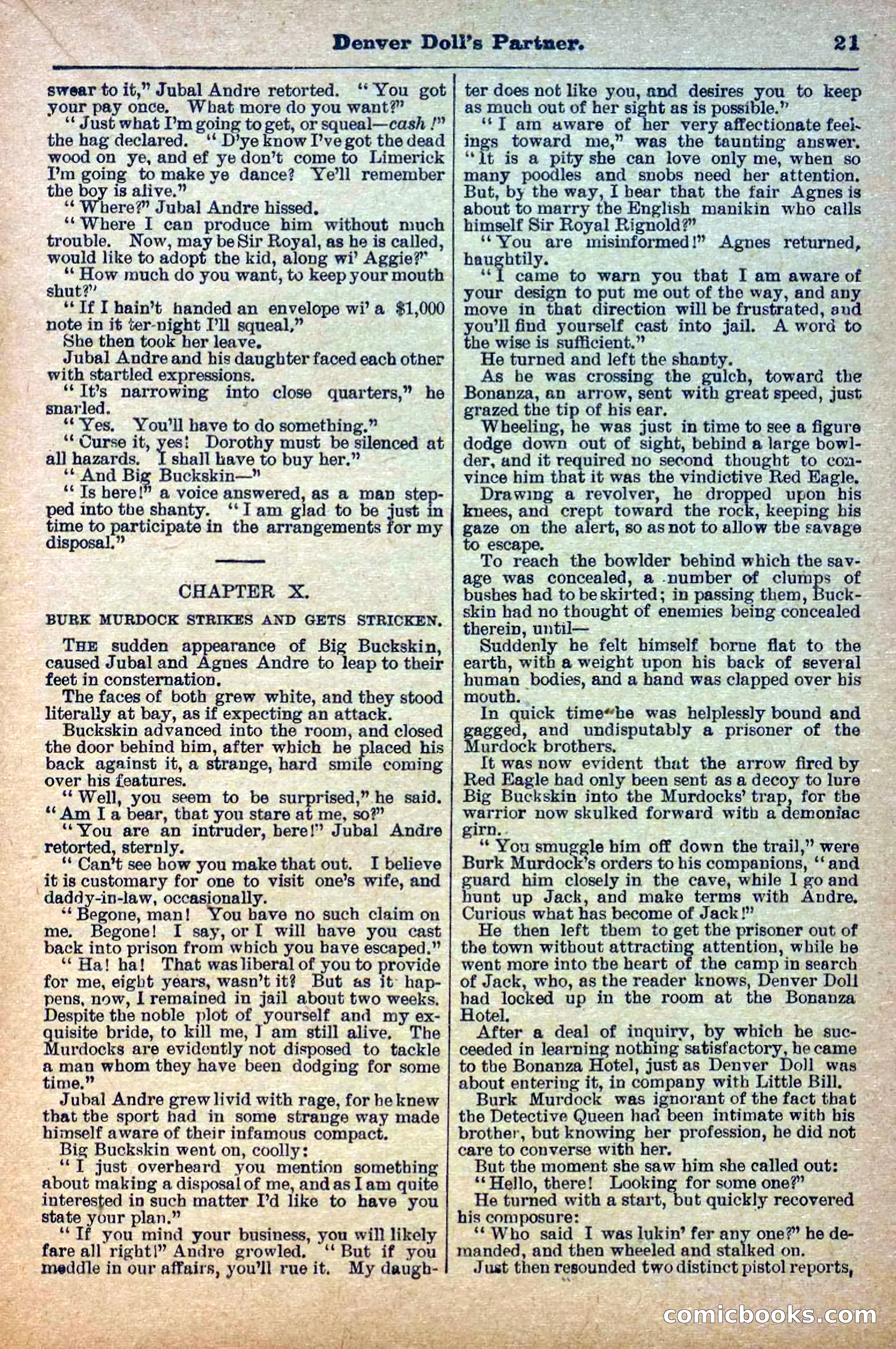 The Deadwood Dick Library, Vol. V, No. 55 — page 23 of 38