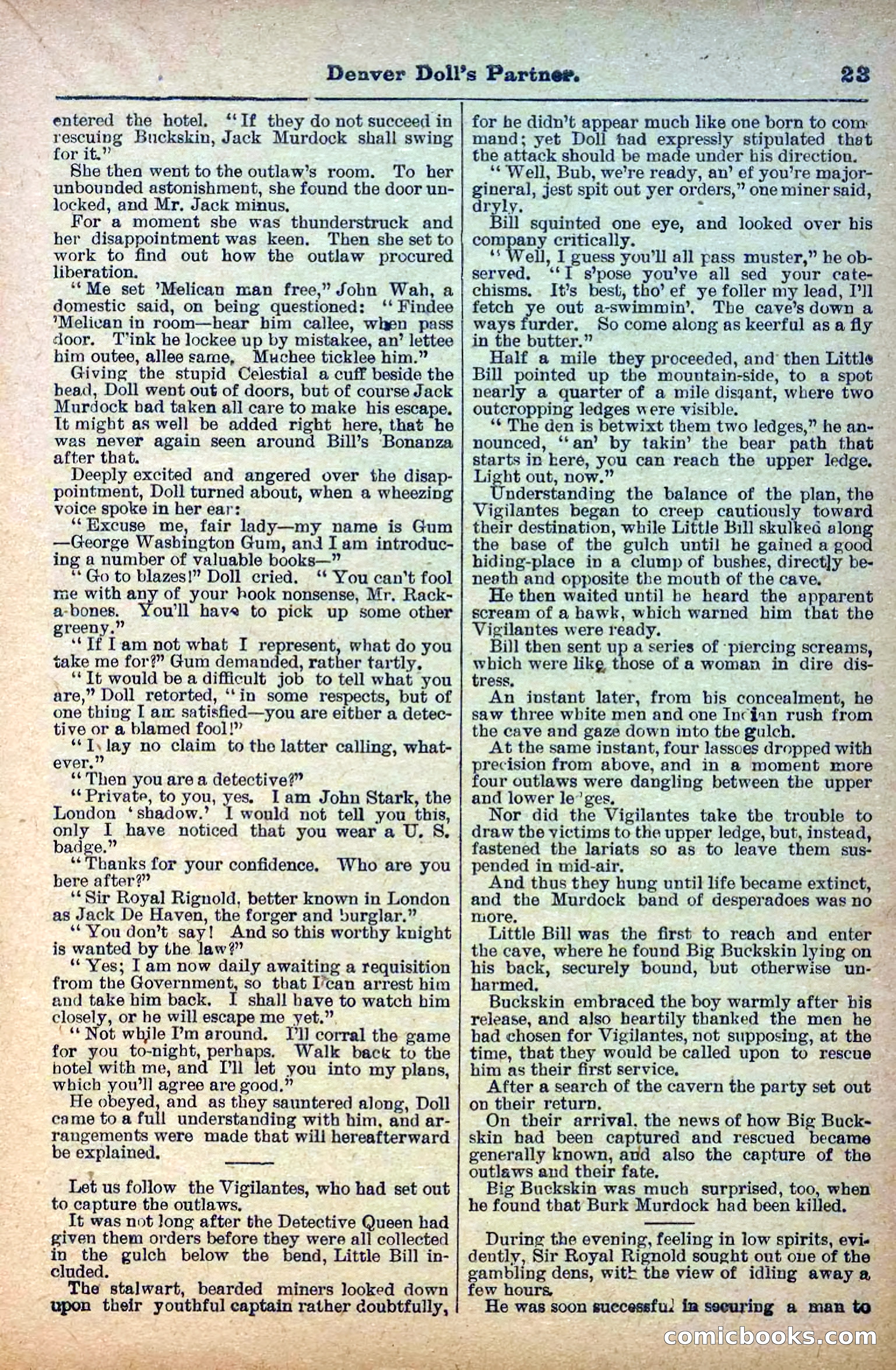 The Deadwood Dick Library, Vol. V, No. 55 — page 25 of 38