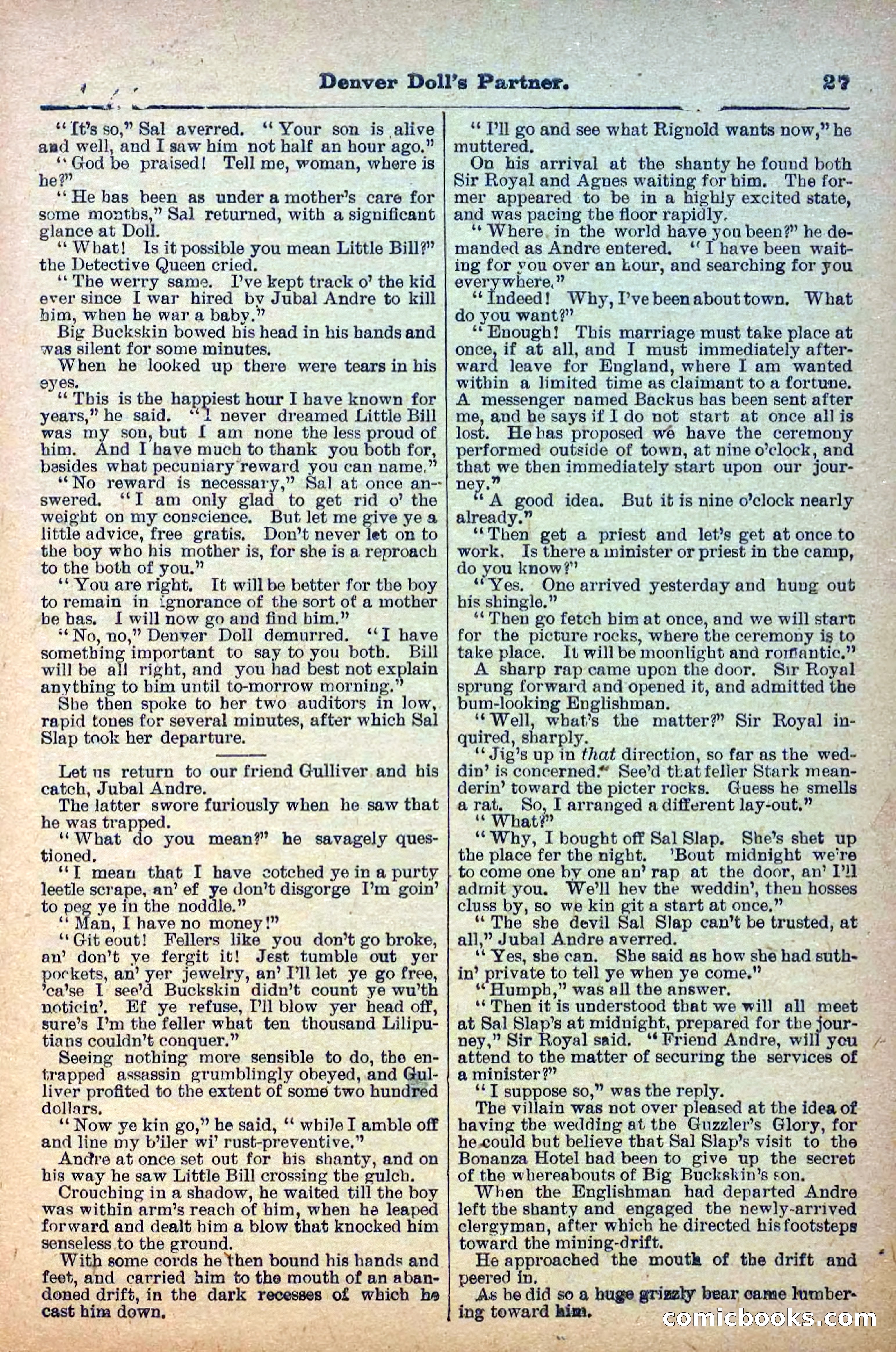 The Deadwood Dick Library, Vol. V, No. 55 — page 29 of 38