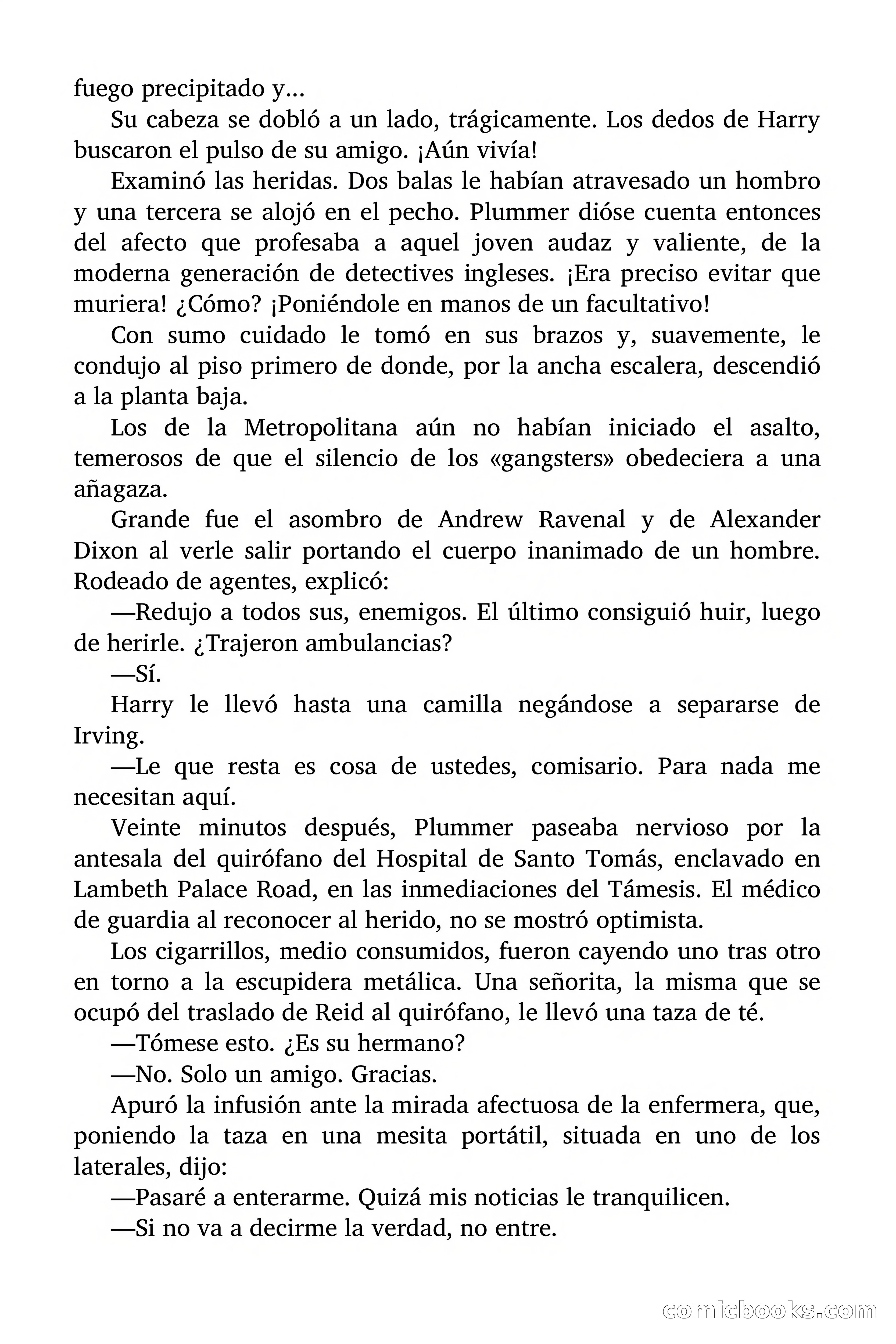 Sangre entre brumas — page 88 of 109