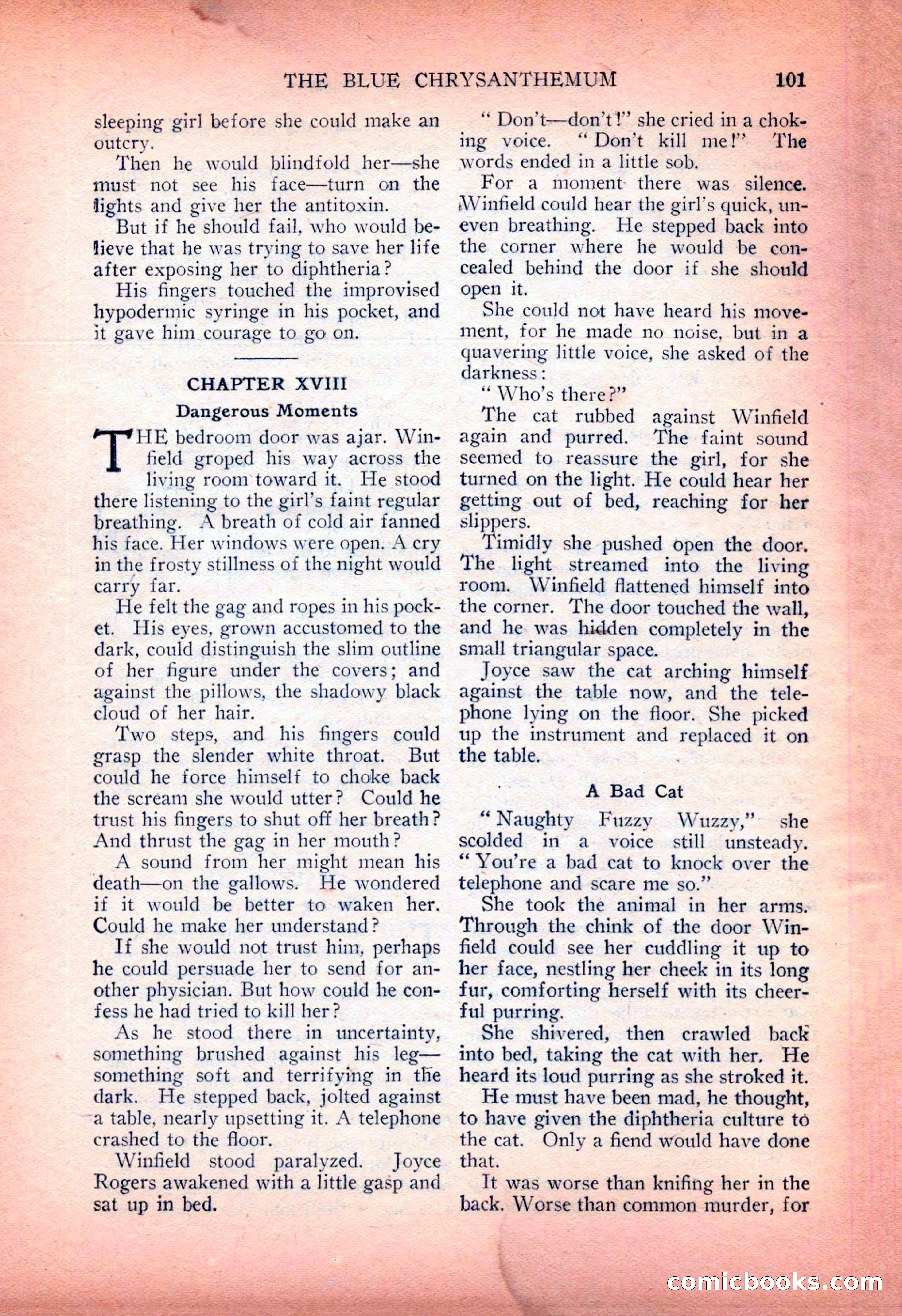 Detective Fiction Weekly, July 7, 1928 — page 111 of 156