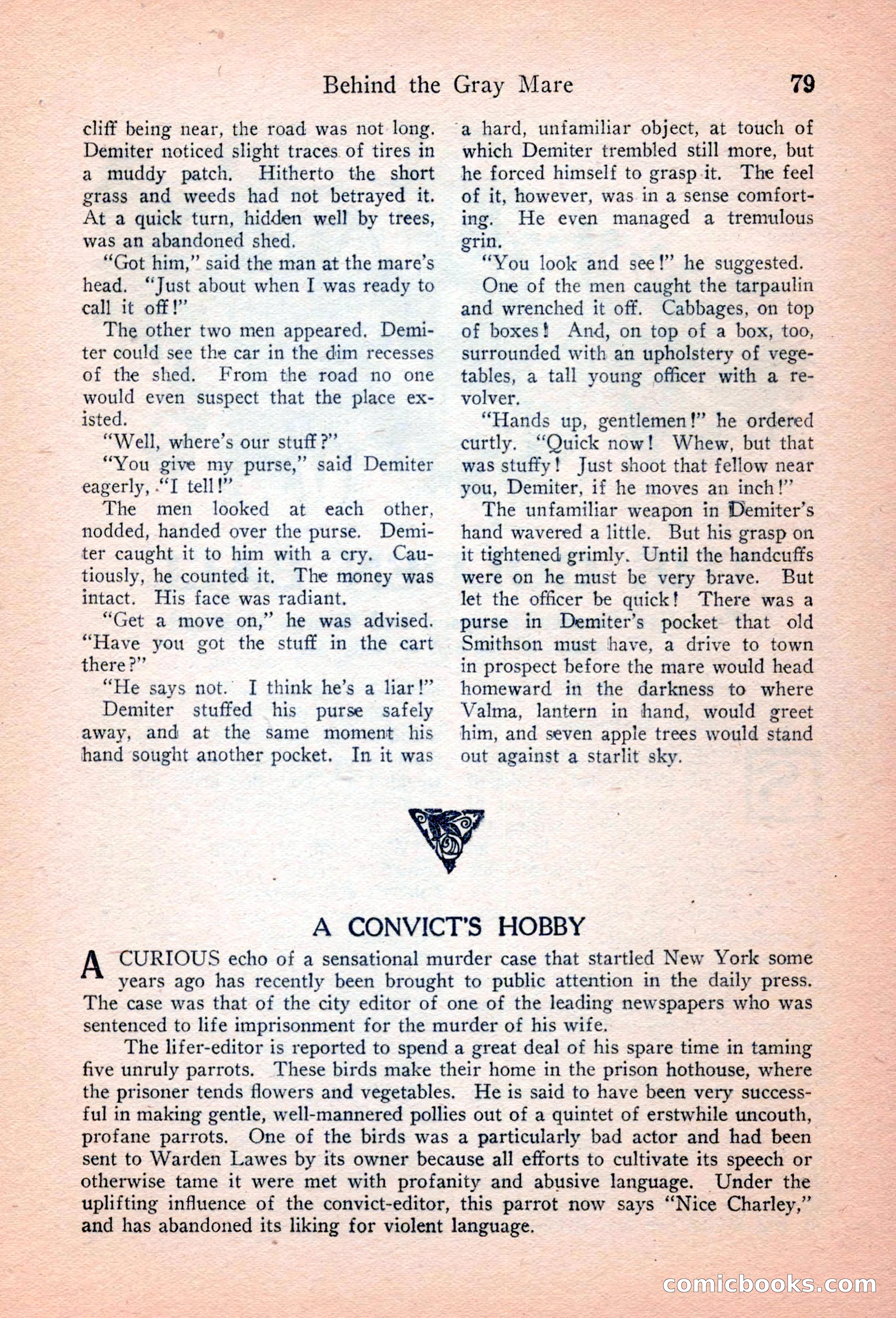 Detective Story Magazine, April 16, 1927 — page 81 of 148
