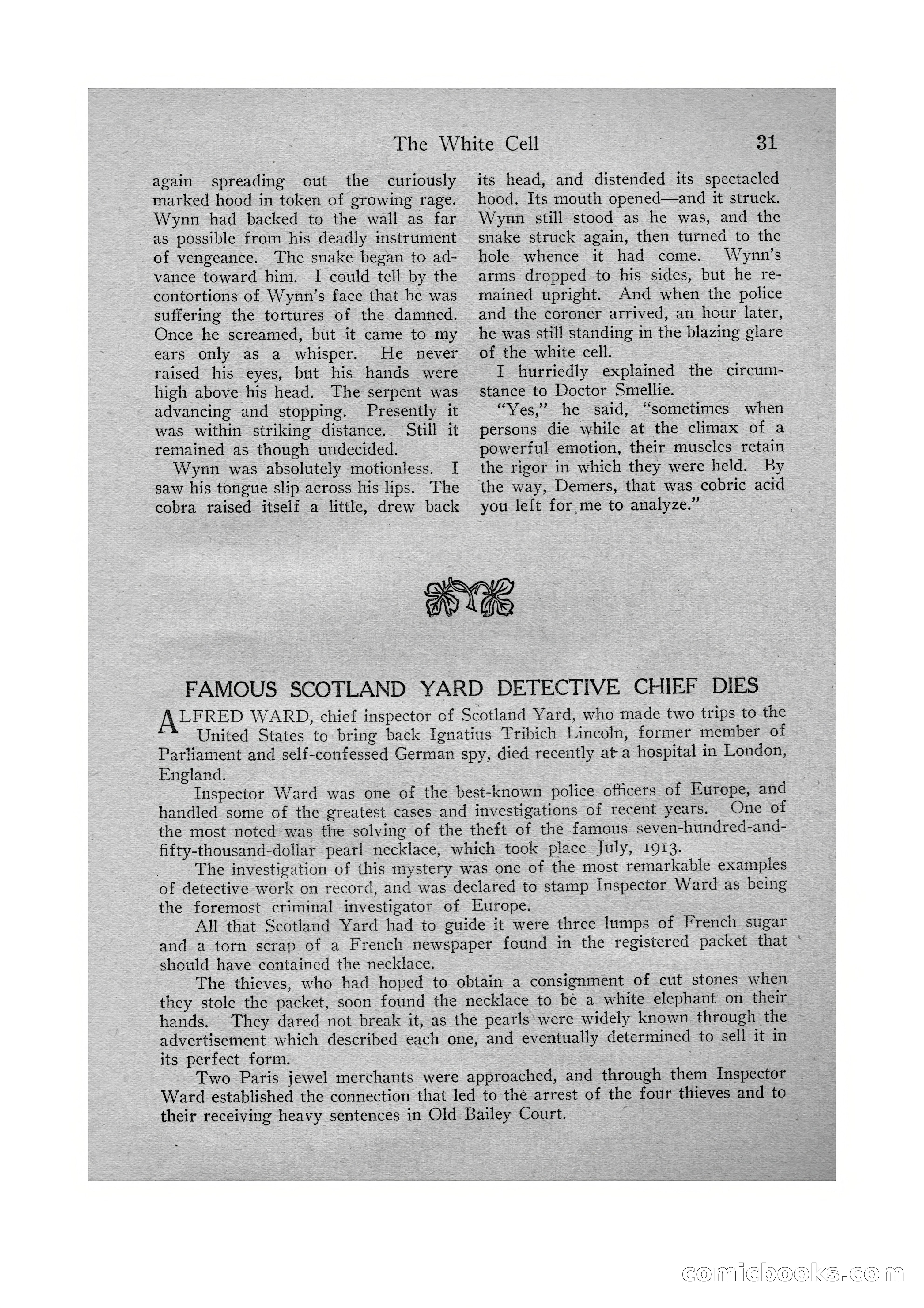 Detective Story Magazine, Vol. VI, No. 1 — page 33 of 132