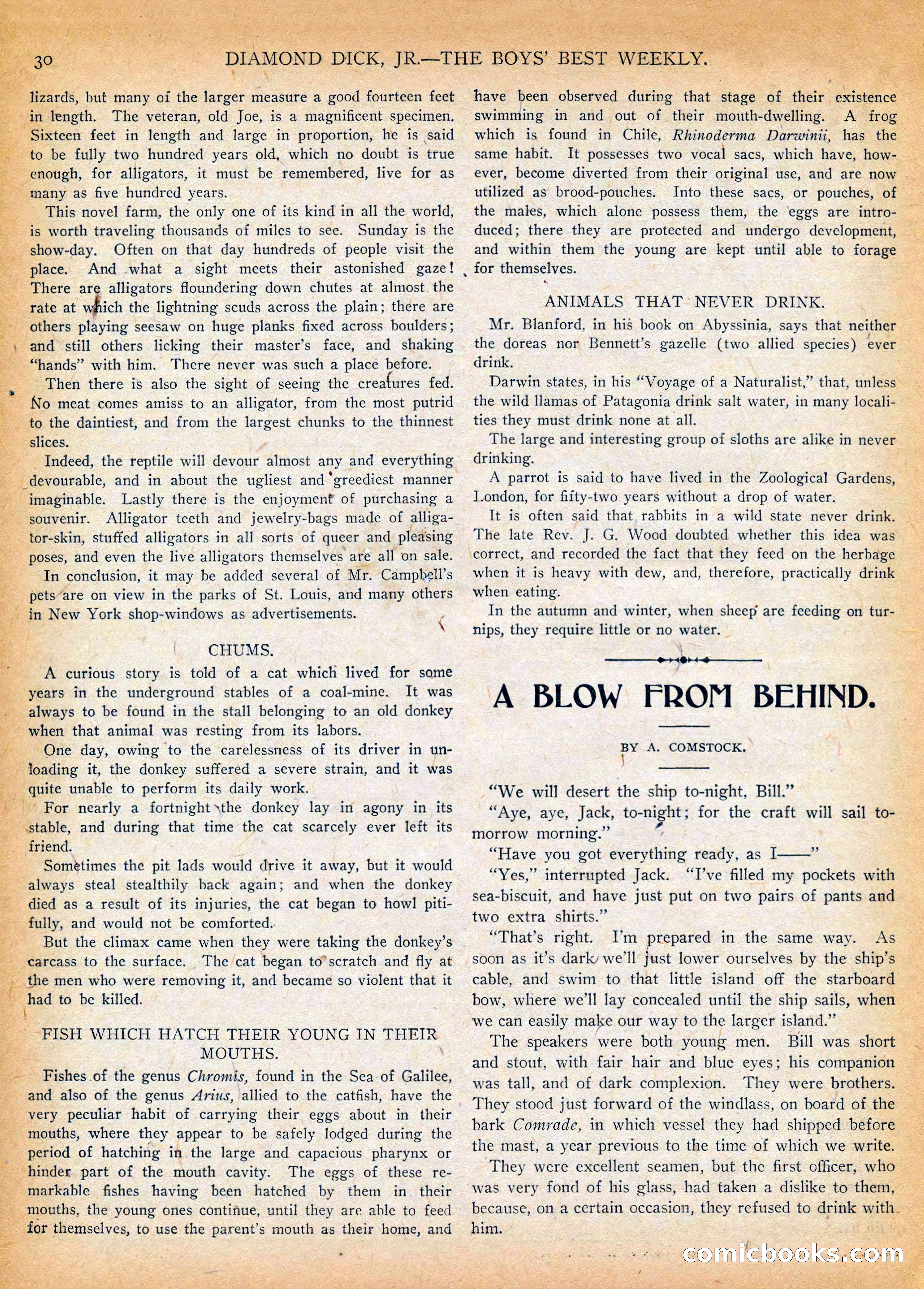 Diamond Dick Jr. #601 — page 32 of 37