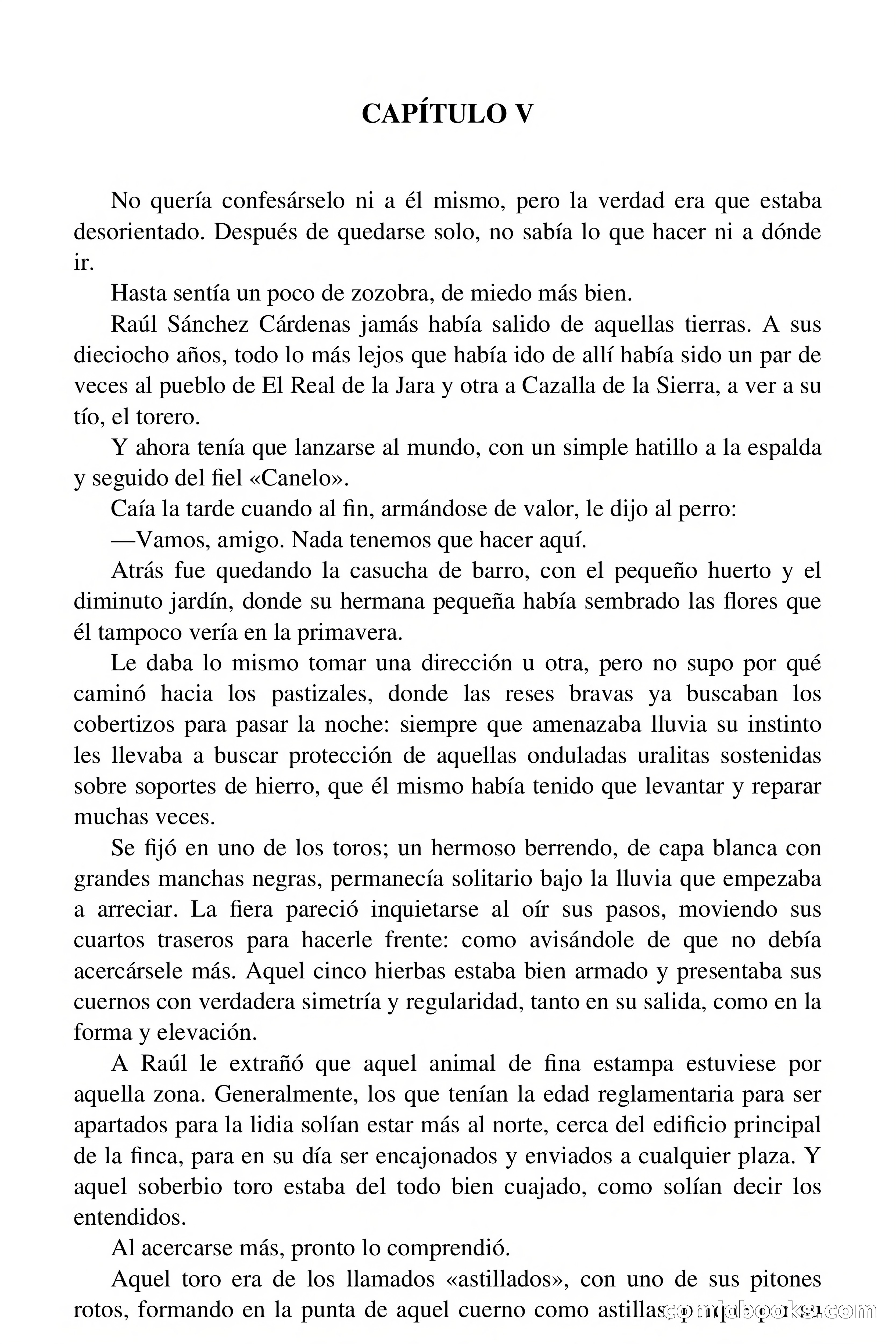 Sangre, oro y ¡gloria! (Blood, Gold and Glory!) — page 29 of 71