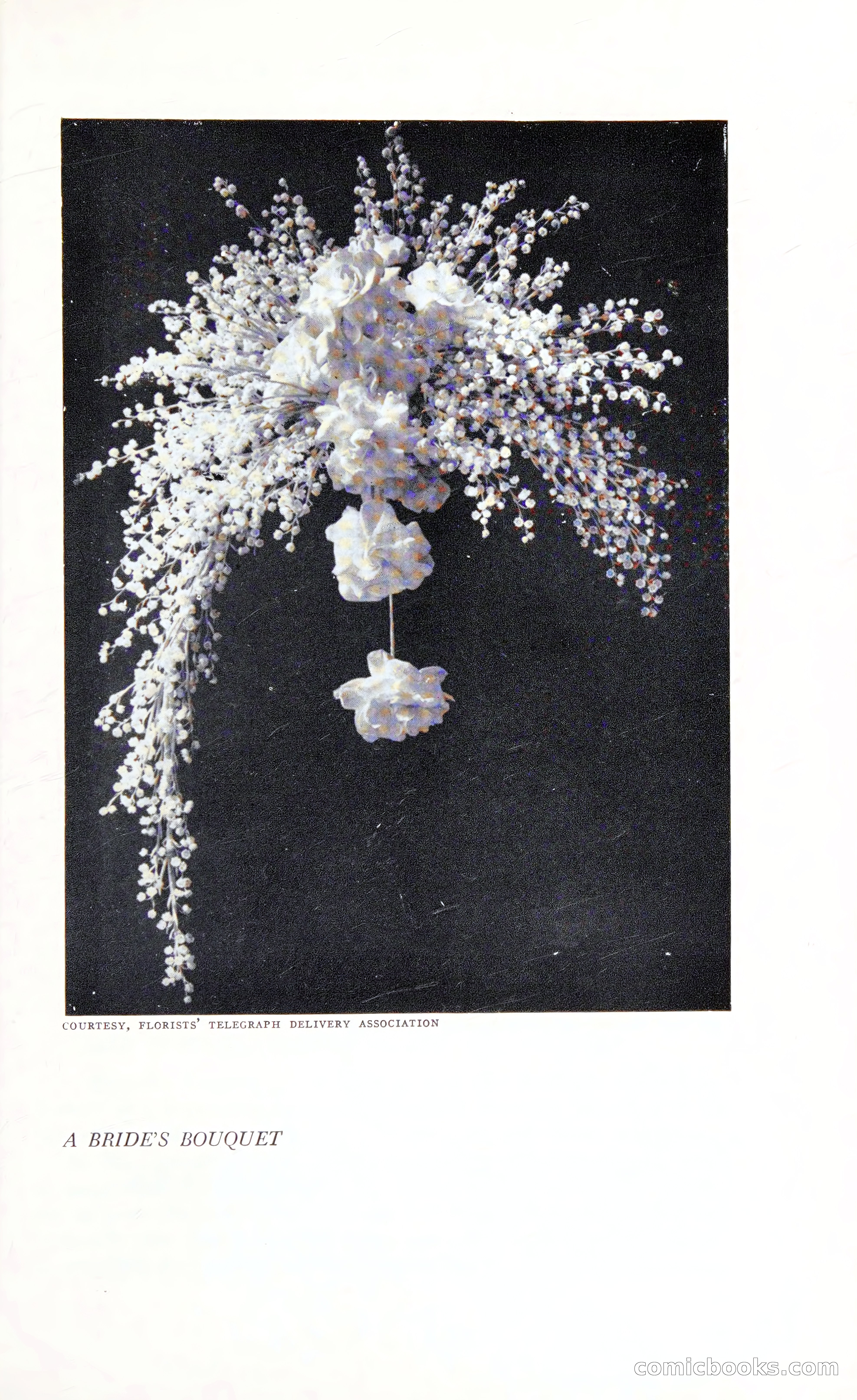 Etiquette: The Blue Book of Social Usage — page 266 of 399