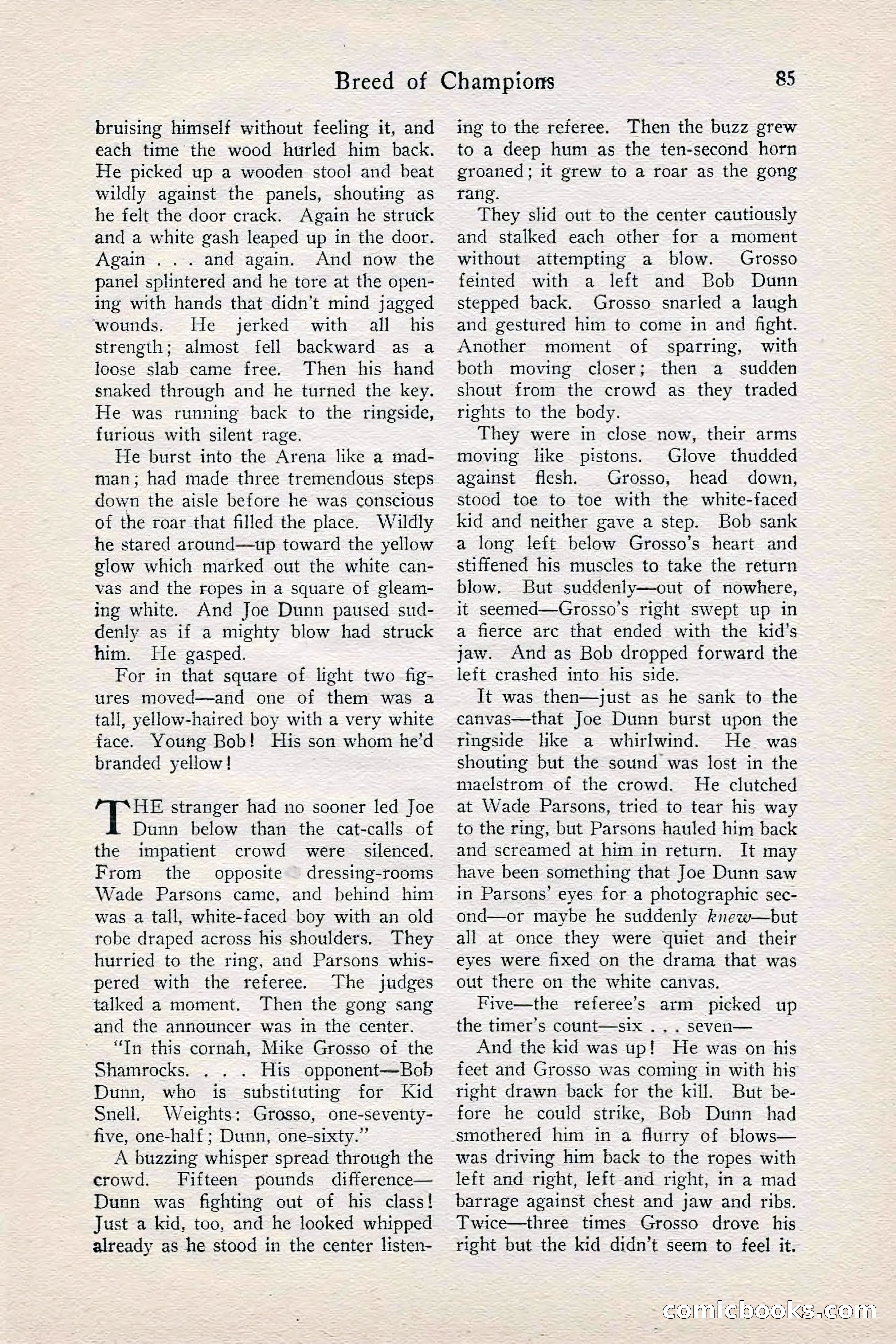Fight Stories, June 1928 — page 87 of 132