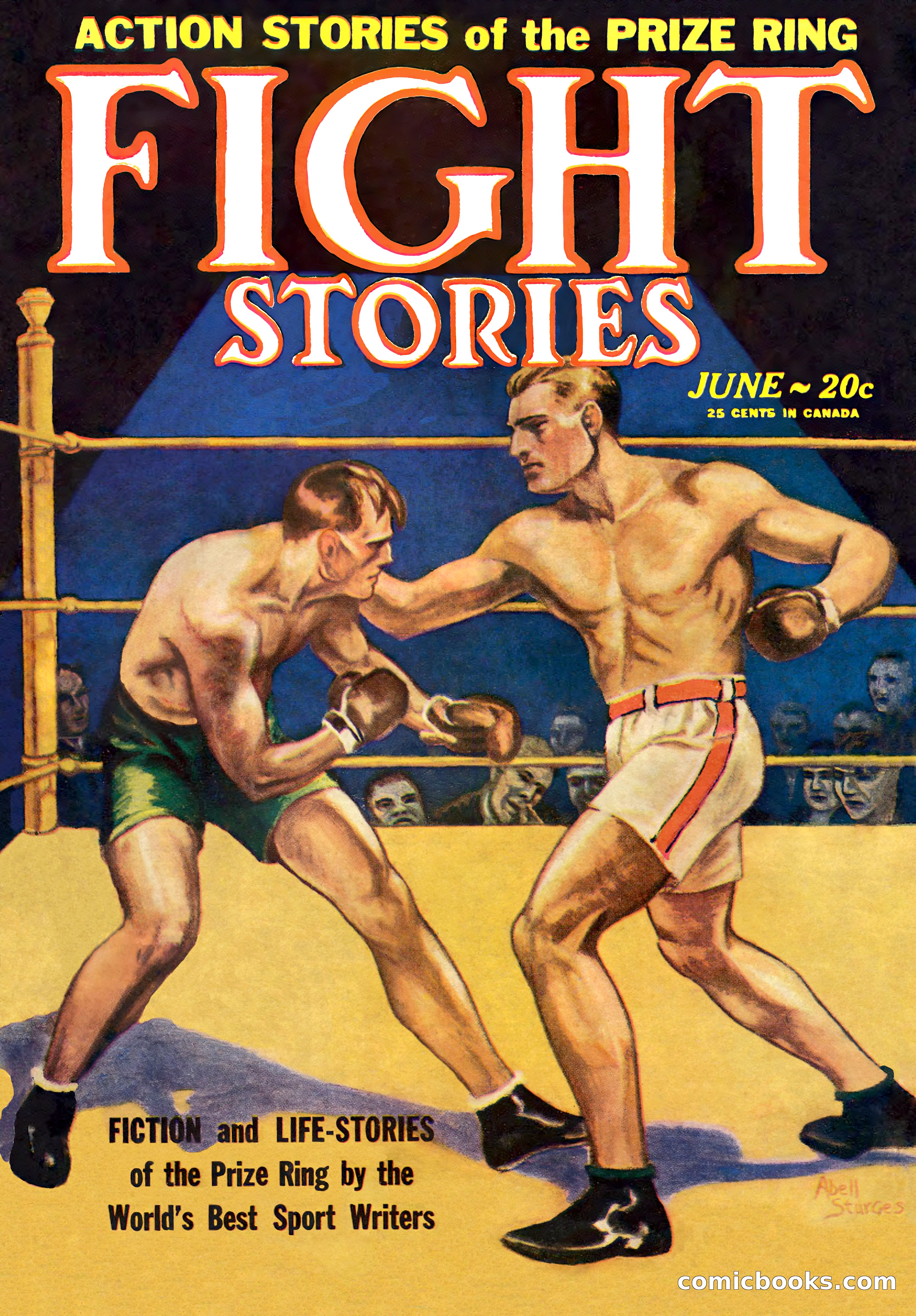 Fight Stories, June 1928
