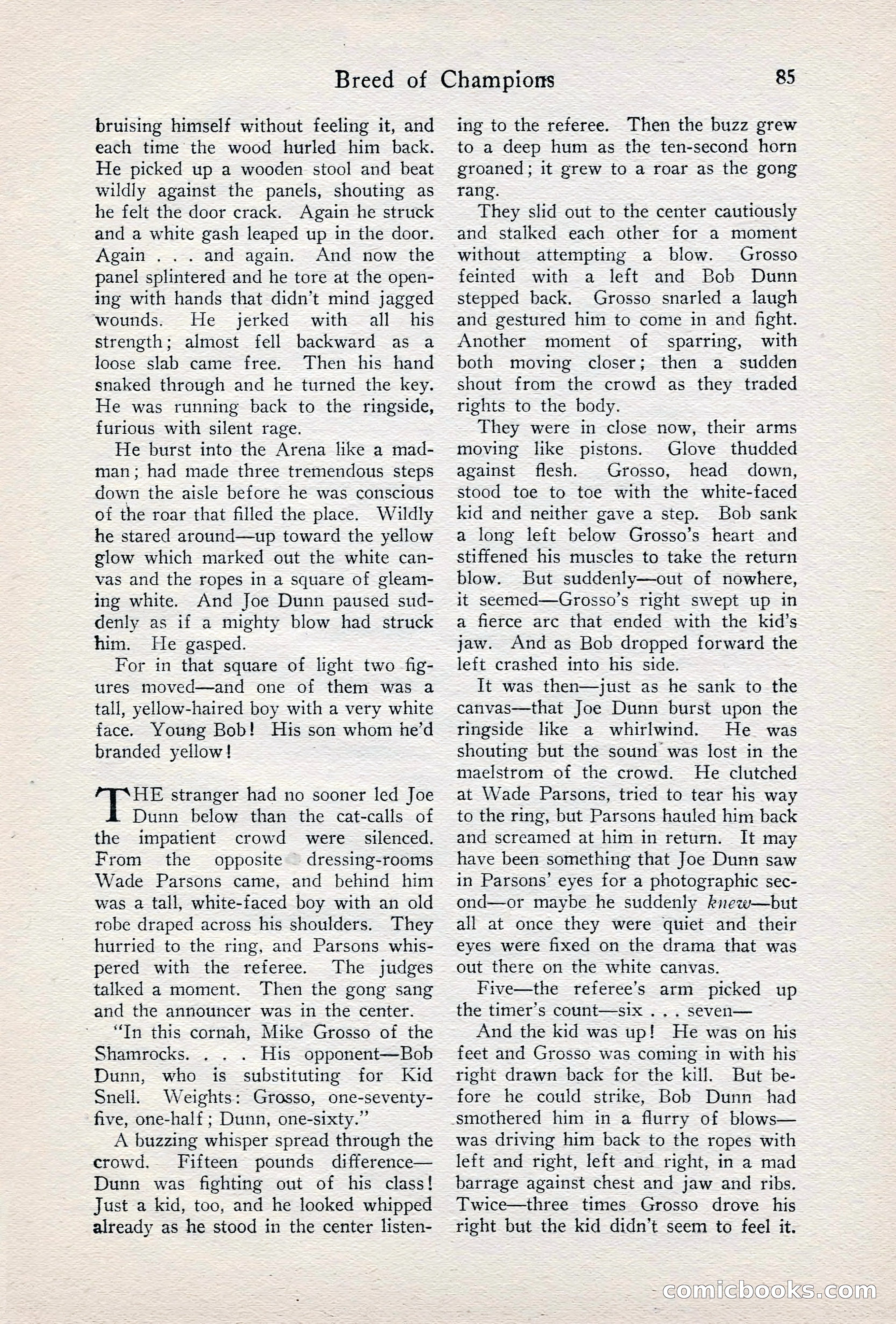 Fight Stories, June 1928 — page 87 of 133