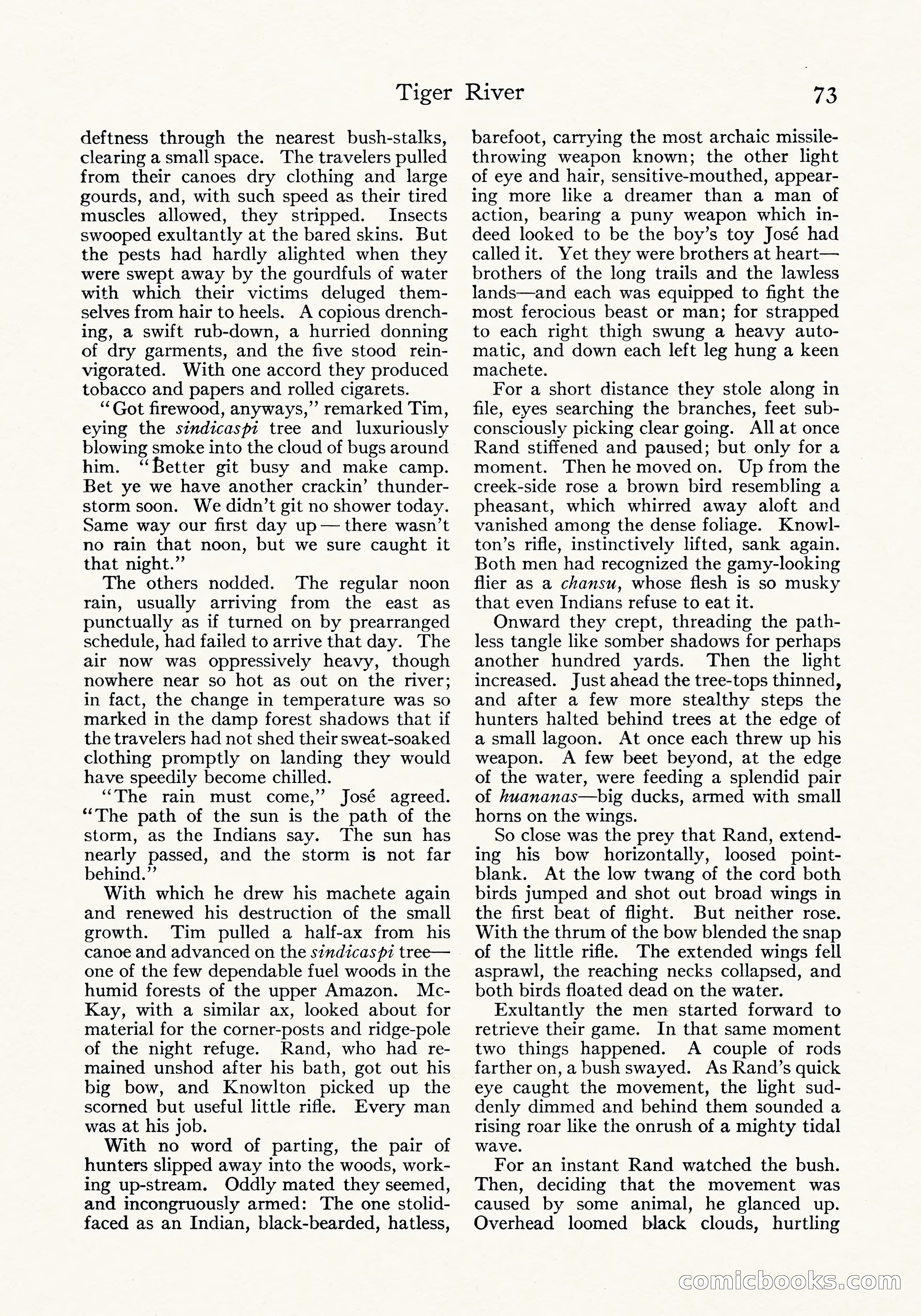Tiger River: A Four-Part Story by Arthur O. Friel — page 22 of 108