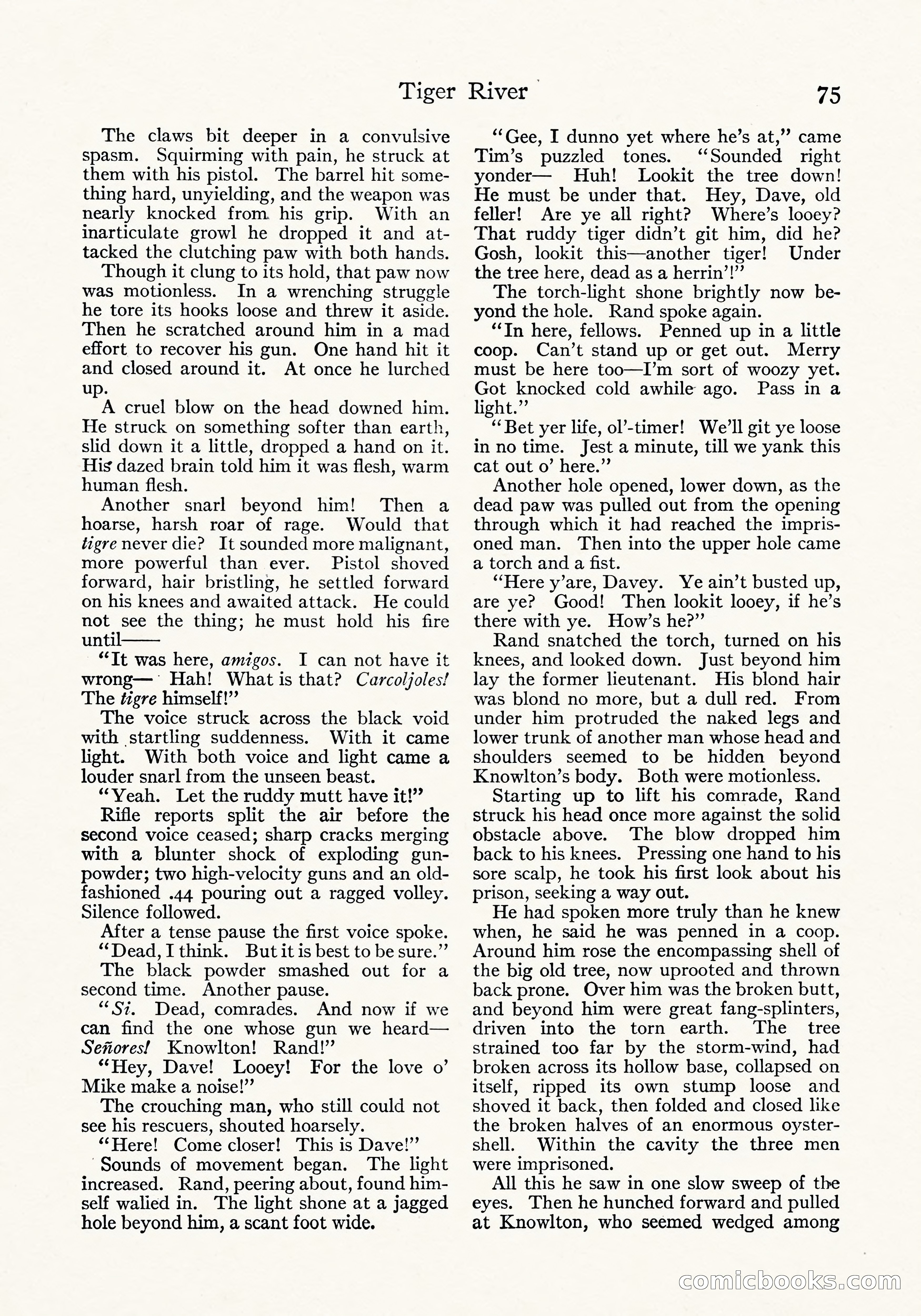 Tiger River: A Four-Part Story by Arthur O. Friel — page 24 of 108