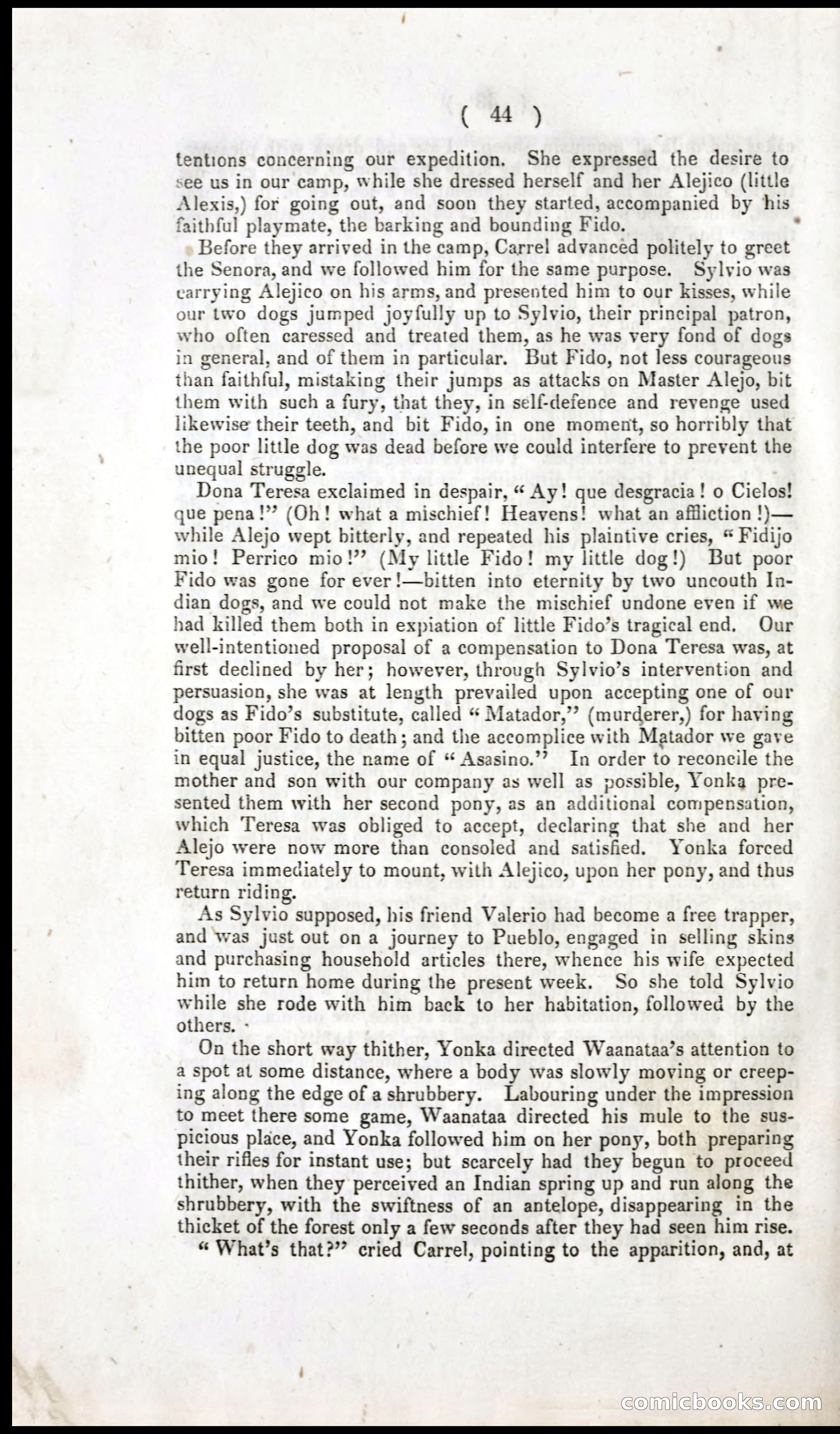 The Dreadful Sufferings and Thrilling Adventures of an Overland Party of Emigrants to California — page 46 of 66