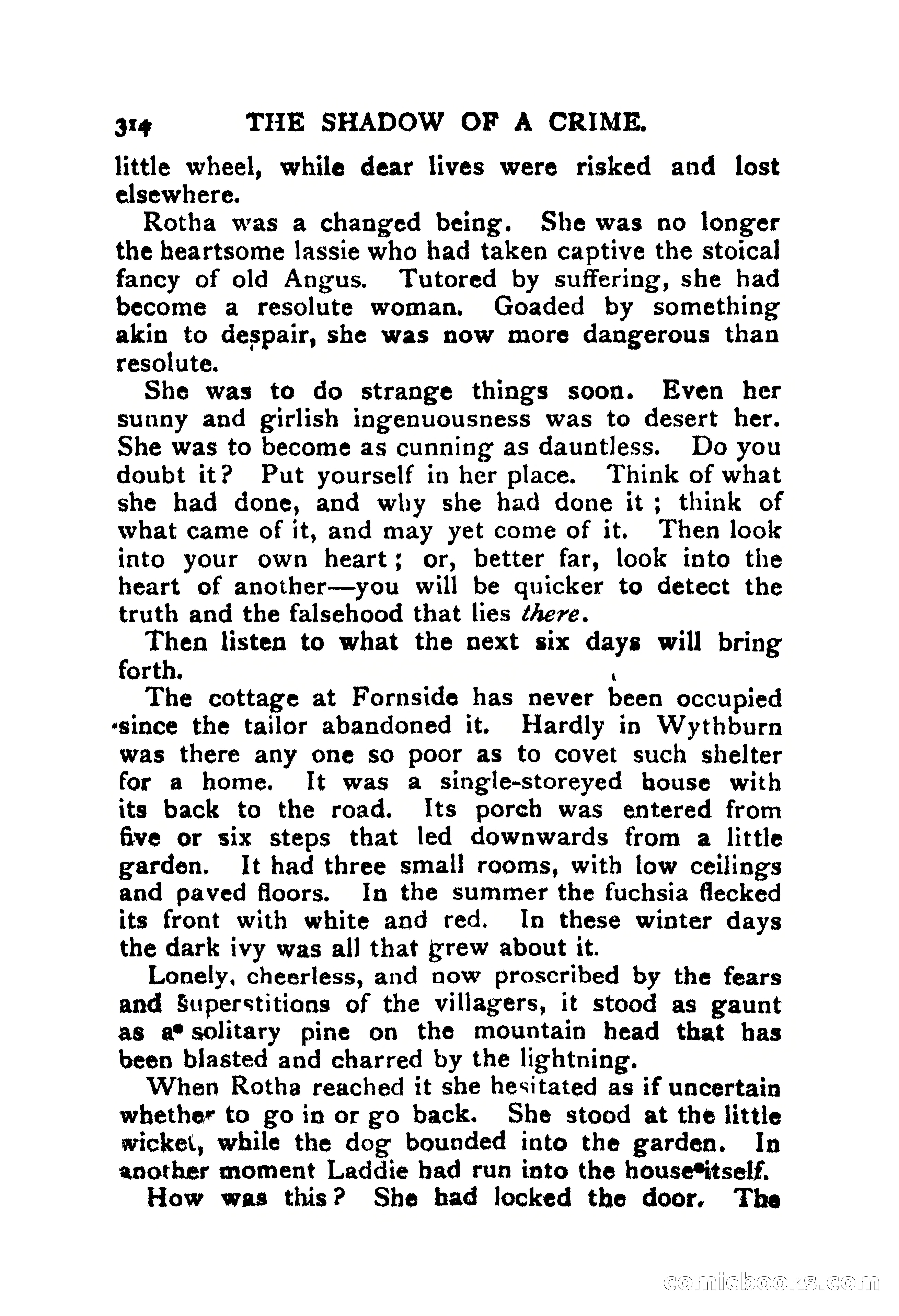 The Shadow of a Crime — page 309 of 398