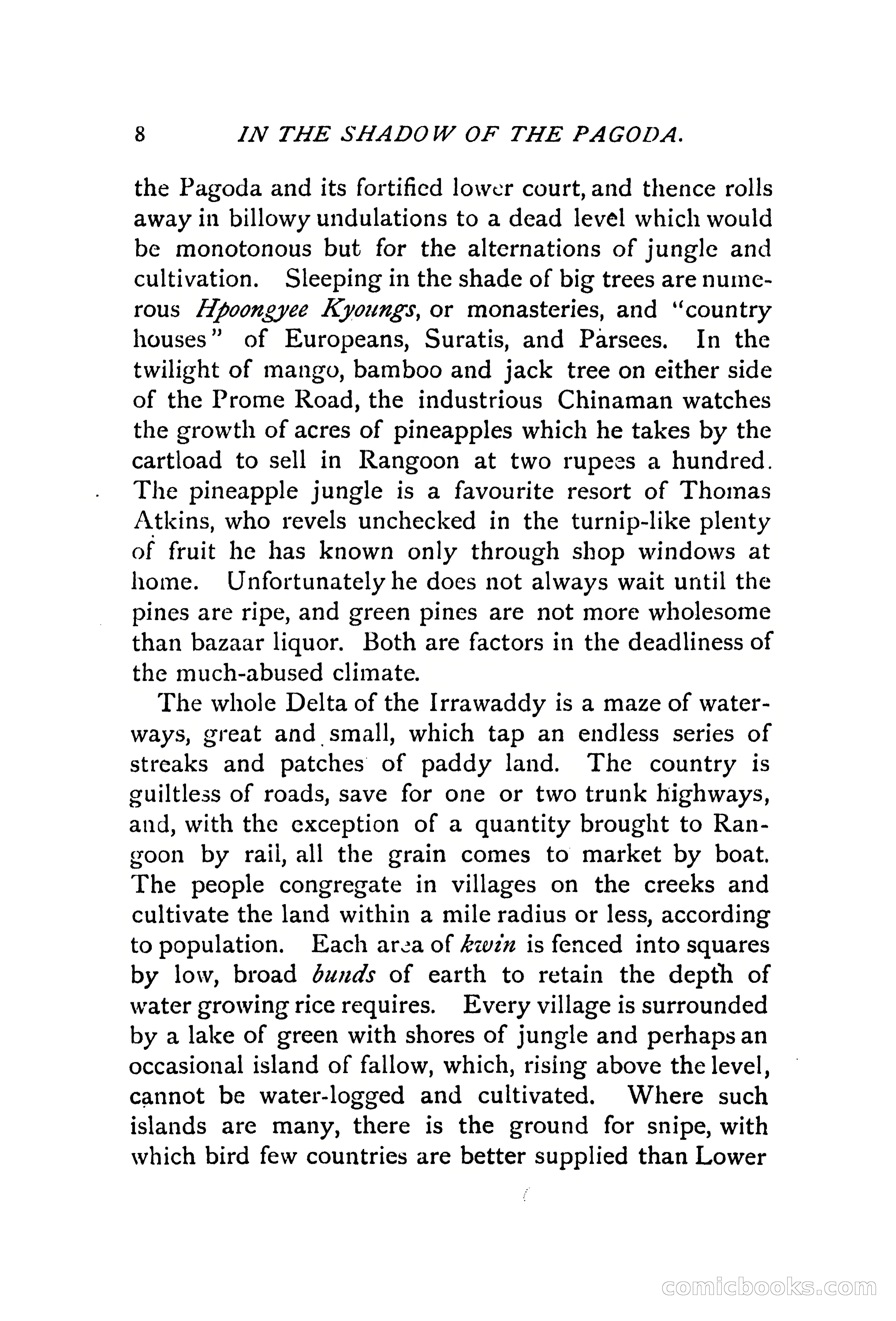 In the Shadow of the Pagoda — page 17 of 399