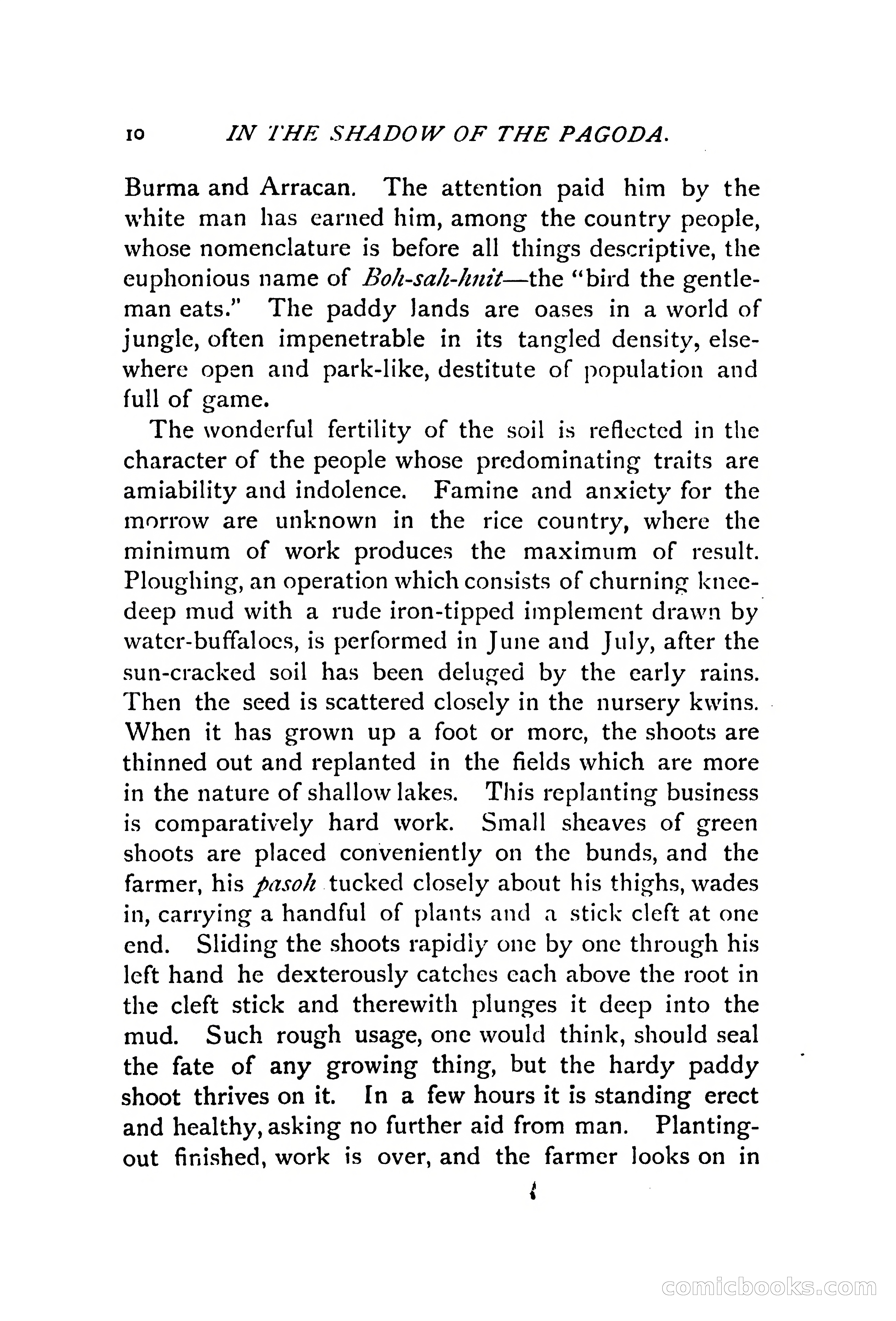 In the Shadow of the Pagoda — page 19 of 399