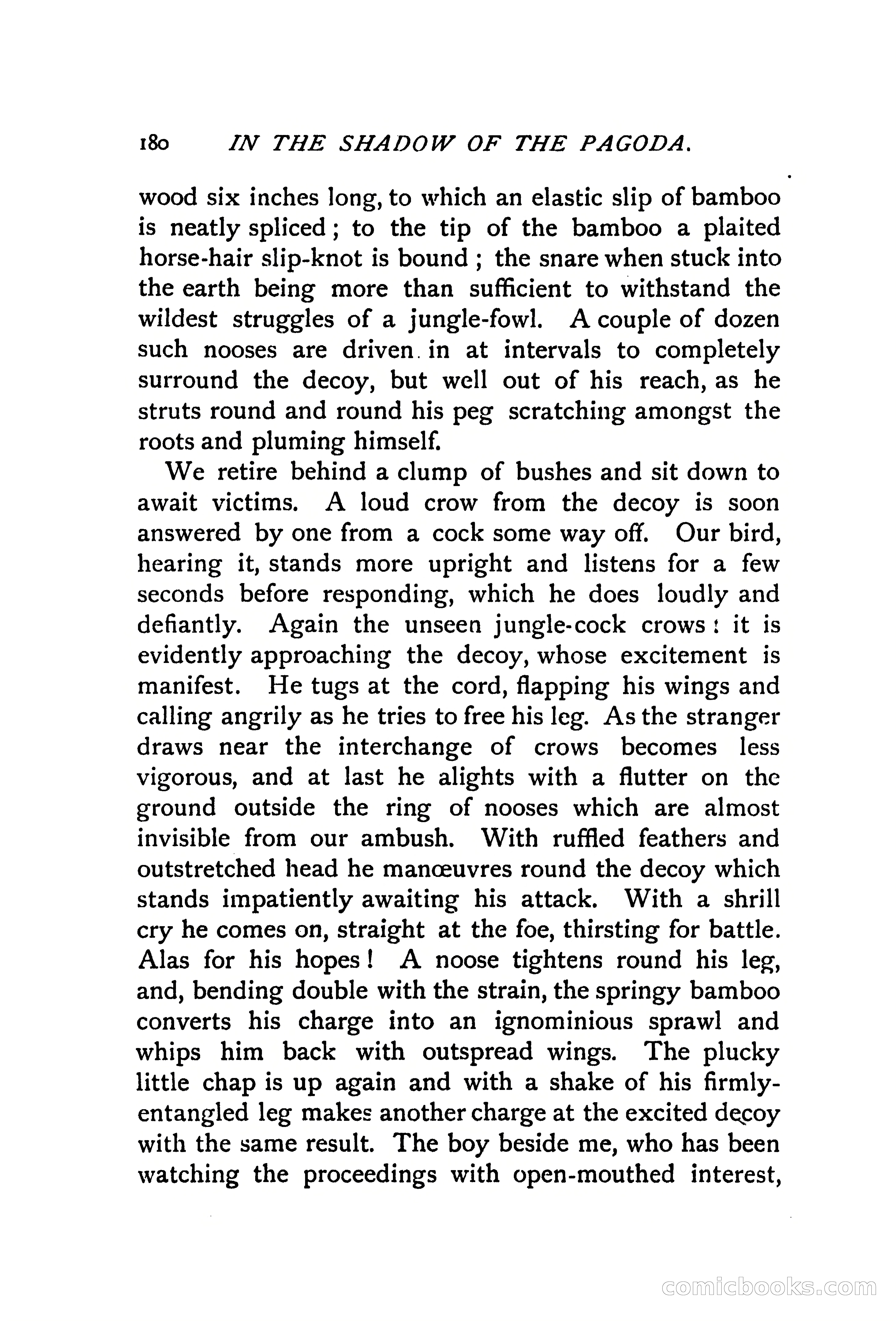 In the Shadow of the Pagoda — page 189 of 399