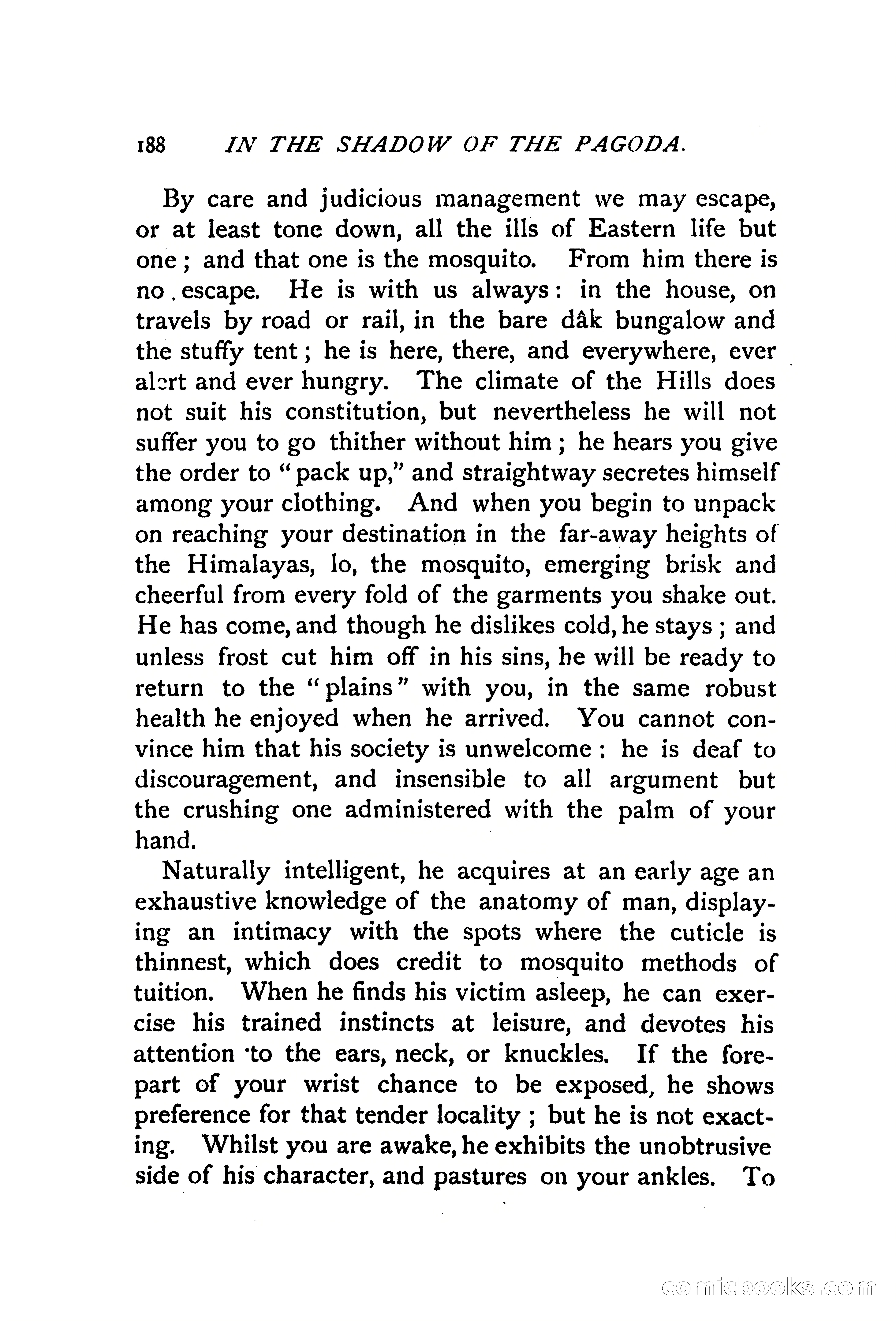 In the Shadow of the Pagoda — page 197 of 399