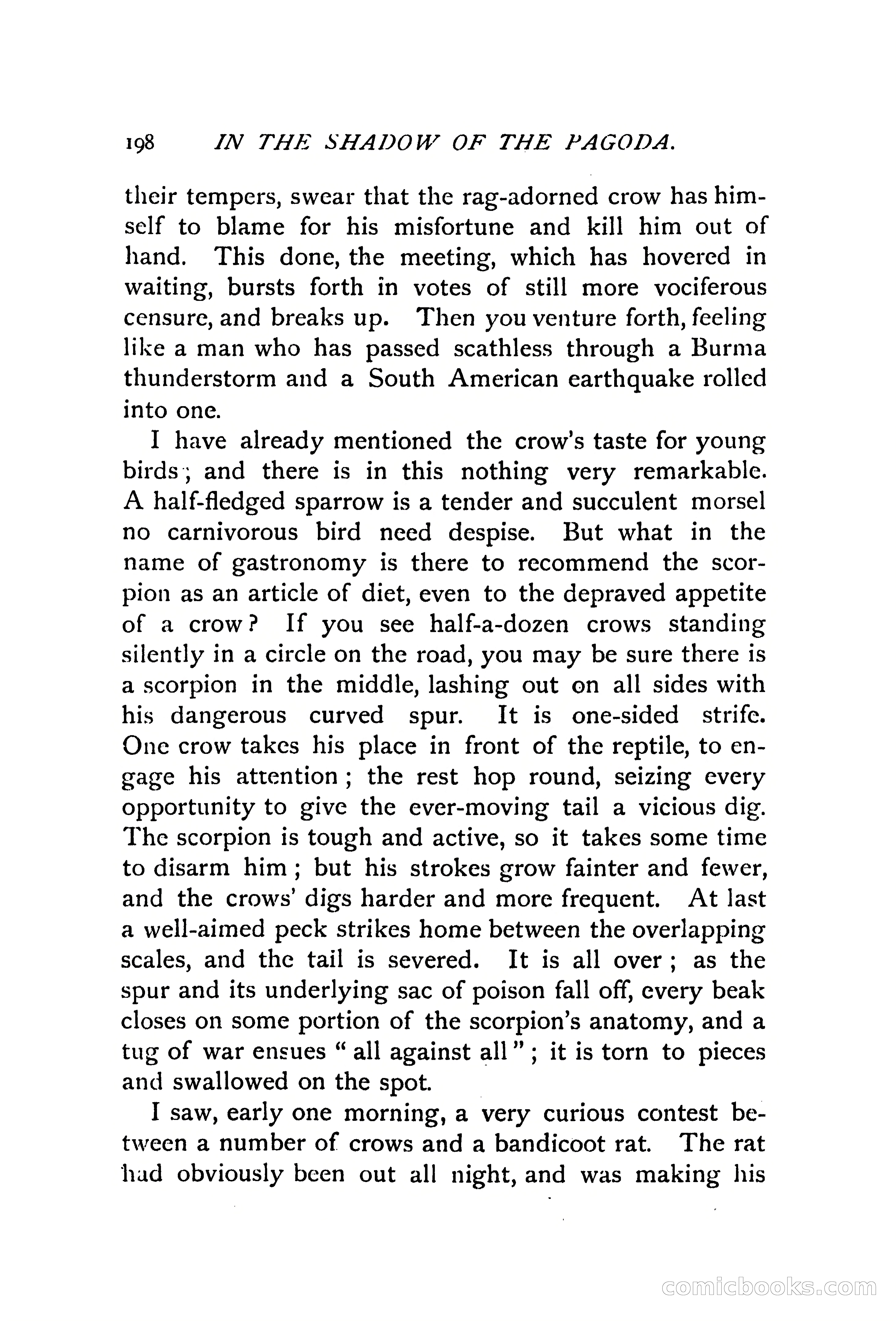 In the Shadow of the Pagoda — page 207 of 399